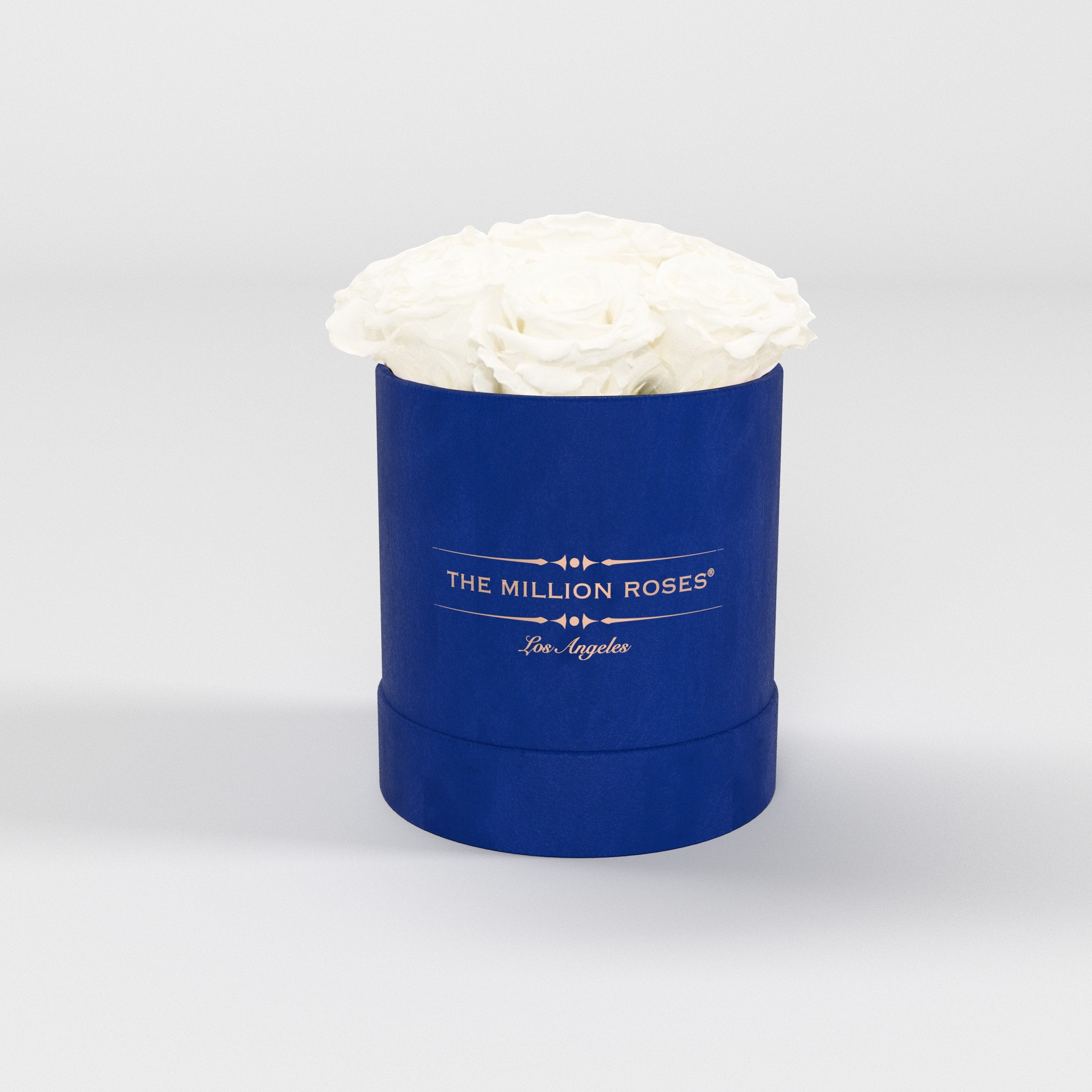 ( LA ) Blue - Suede - Basic Box with White Roses Kit - the million roses