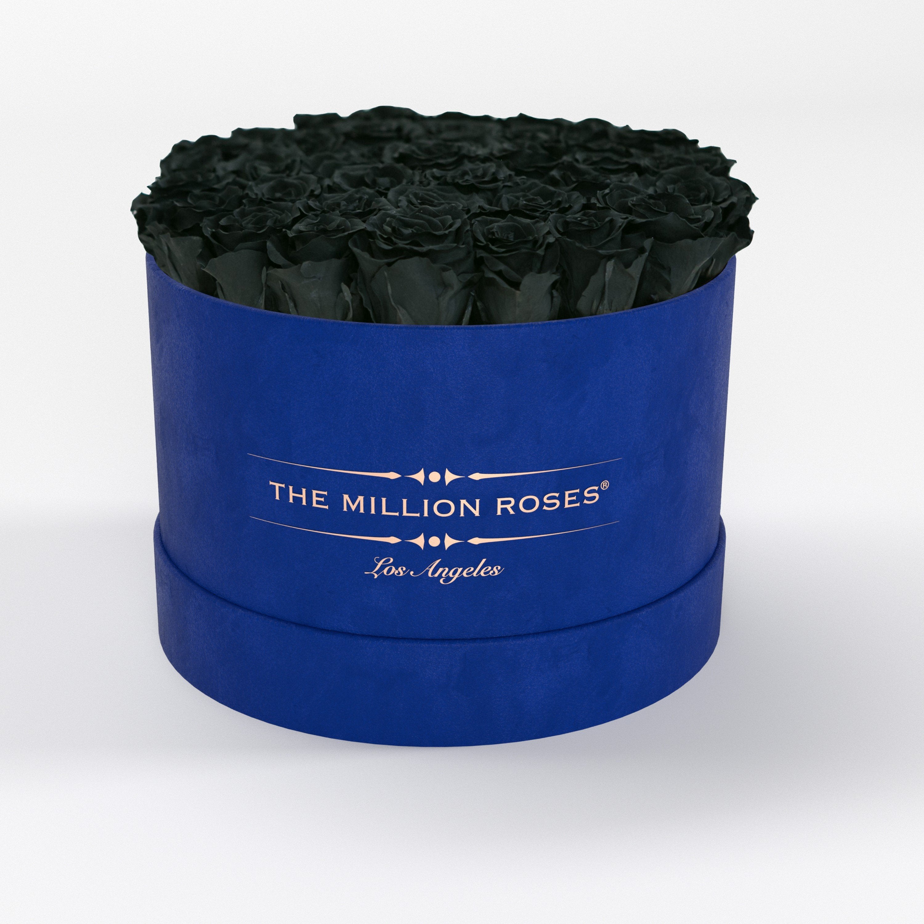 ( LA ) Blue - Suede - Premium Box with Black Roses Kit - the million roses
