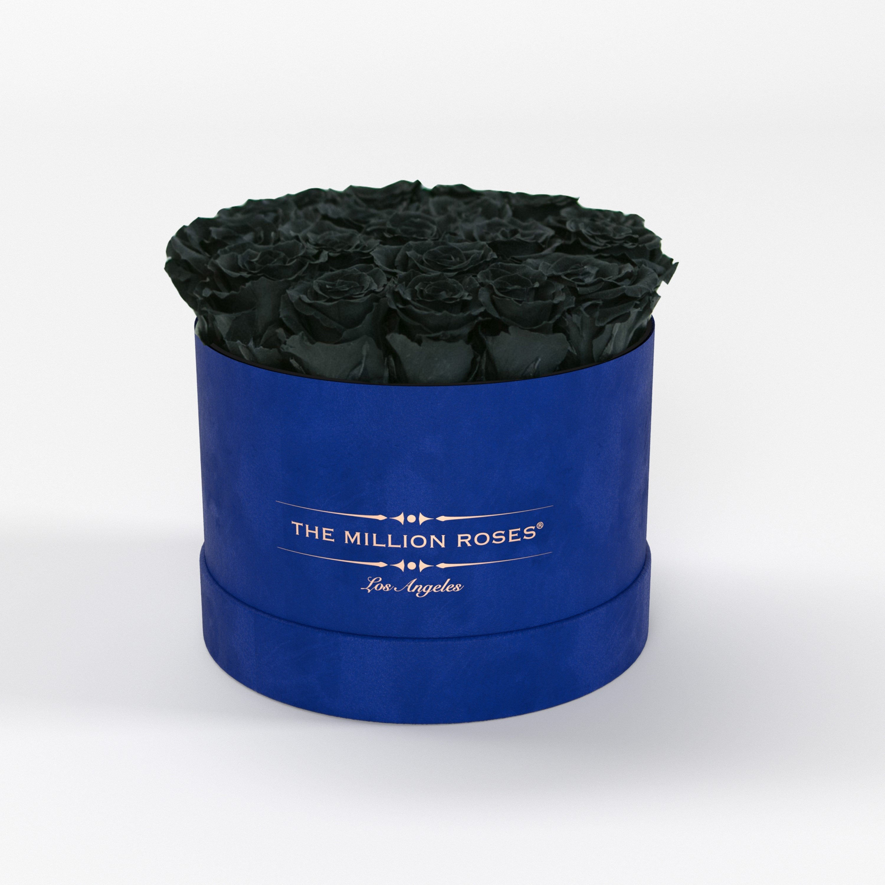 ( LA ) Blue - Suede - Classic Box with Black Roses Kit - the million roses