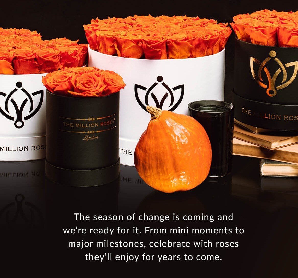 Fall Roses - Orange Autumn Roses | The Million Roses®