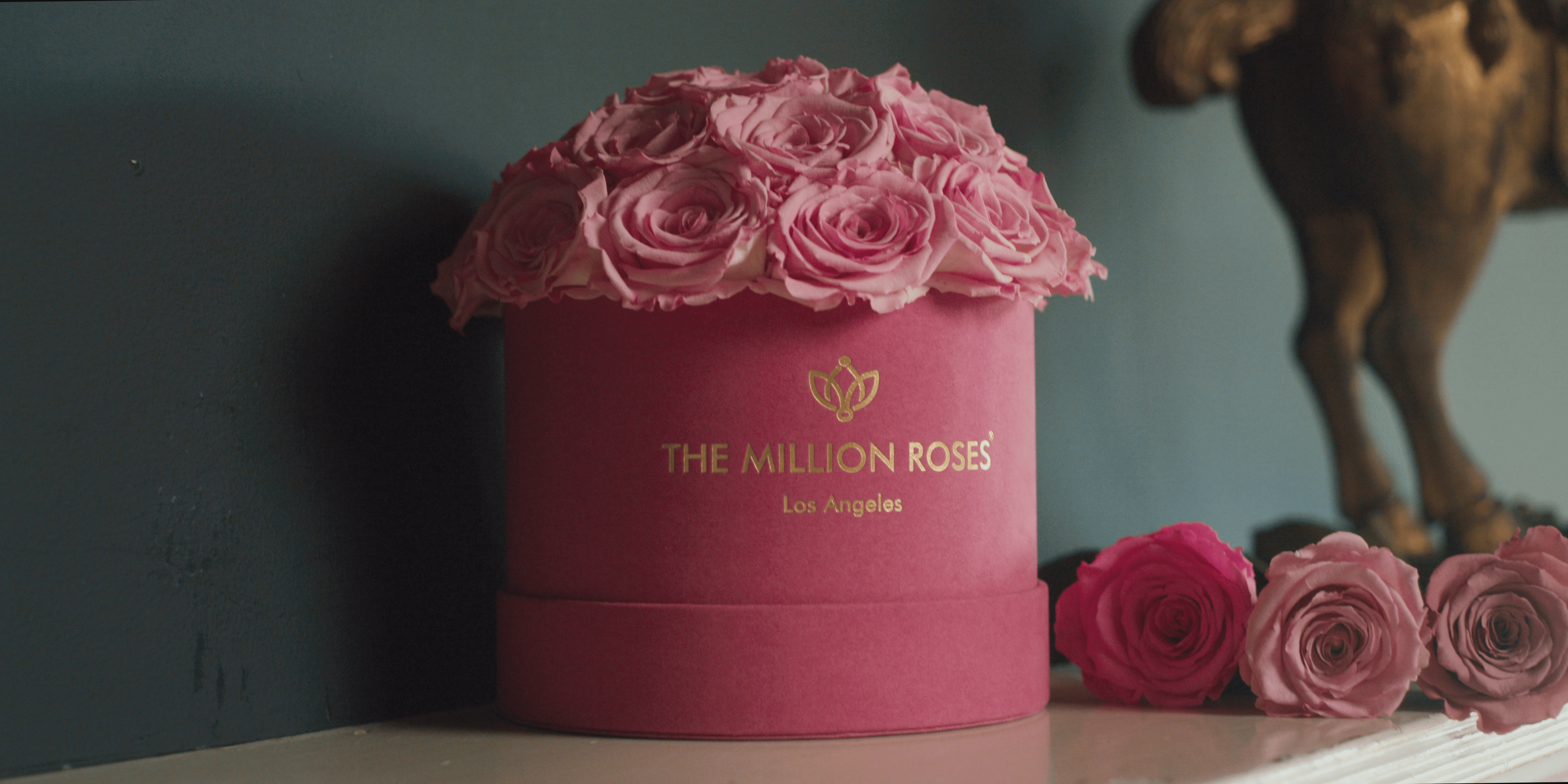 August Flowers - Pink Rounded Rose Box - The Million Roses®