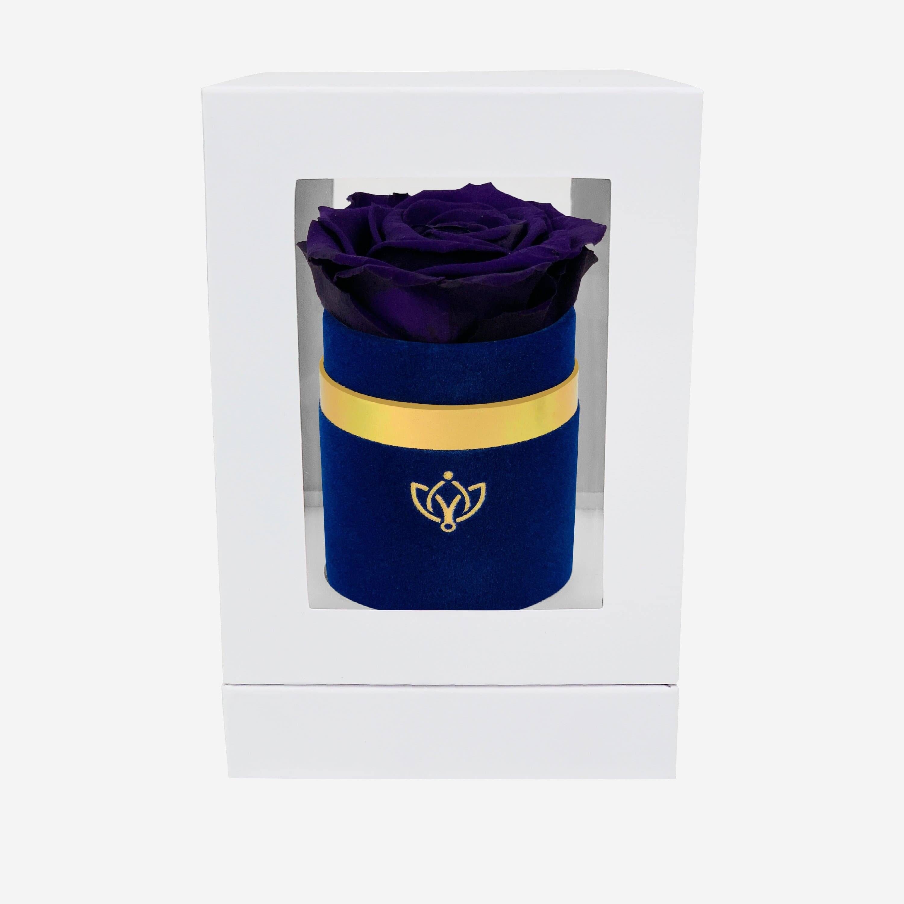 Single Royal Blue Suede Box | Dark Purple Rose - The Million Roses