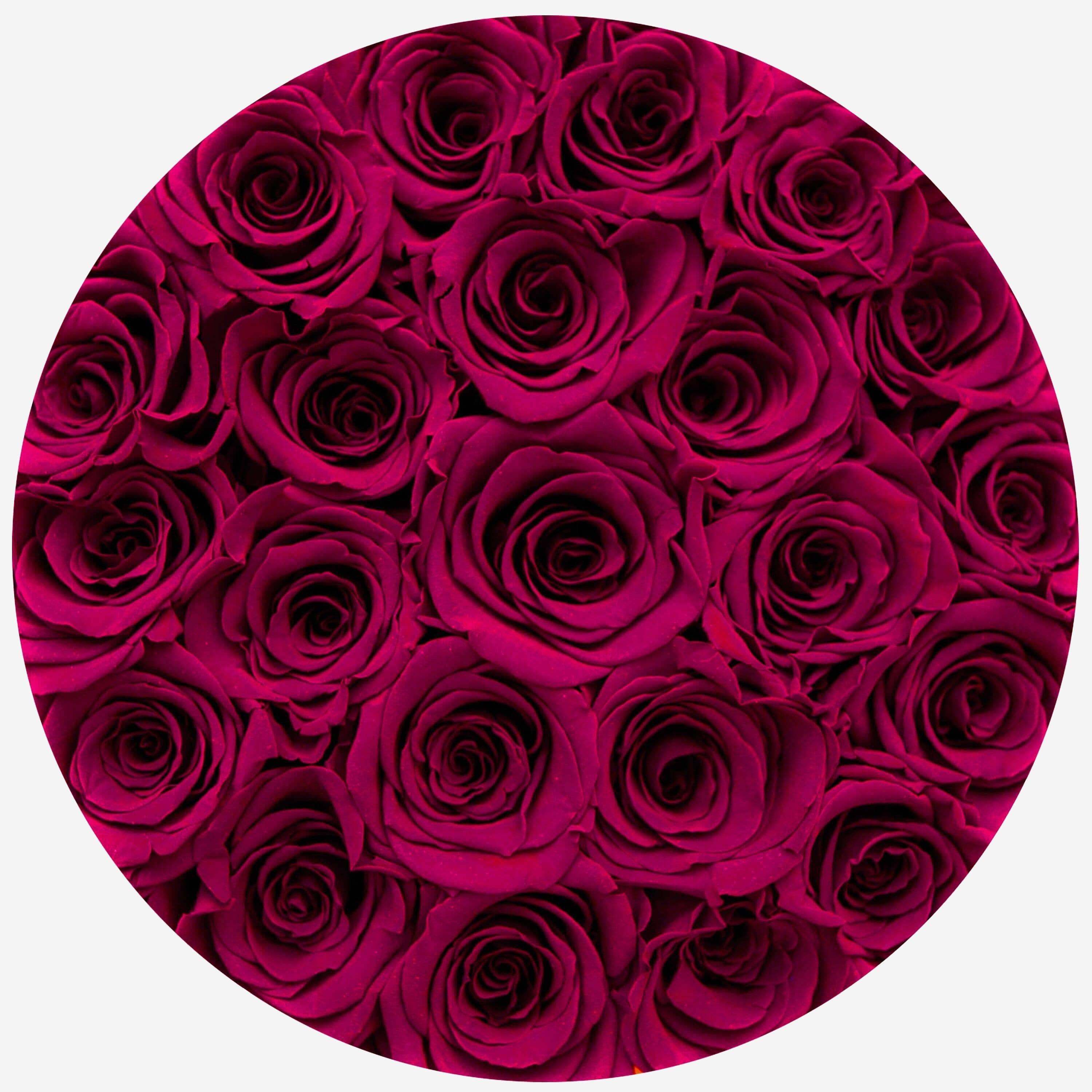 Classic Black Box | Burgundy Roses - The Million Roses