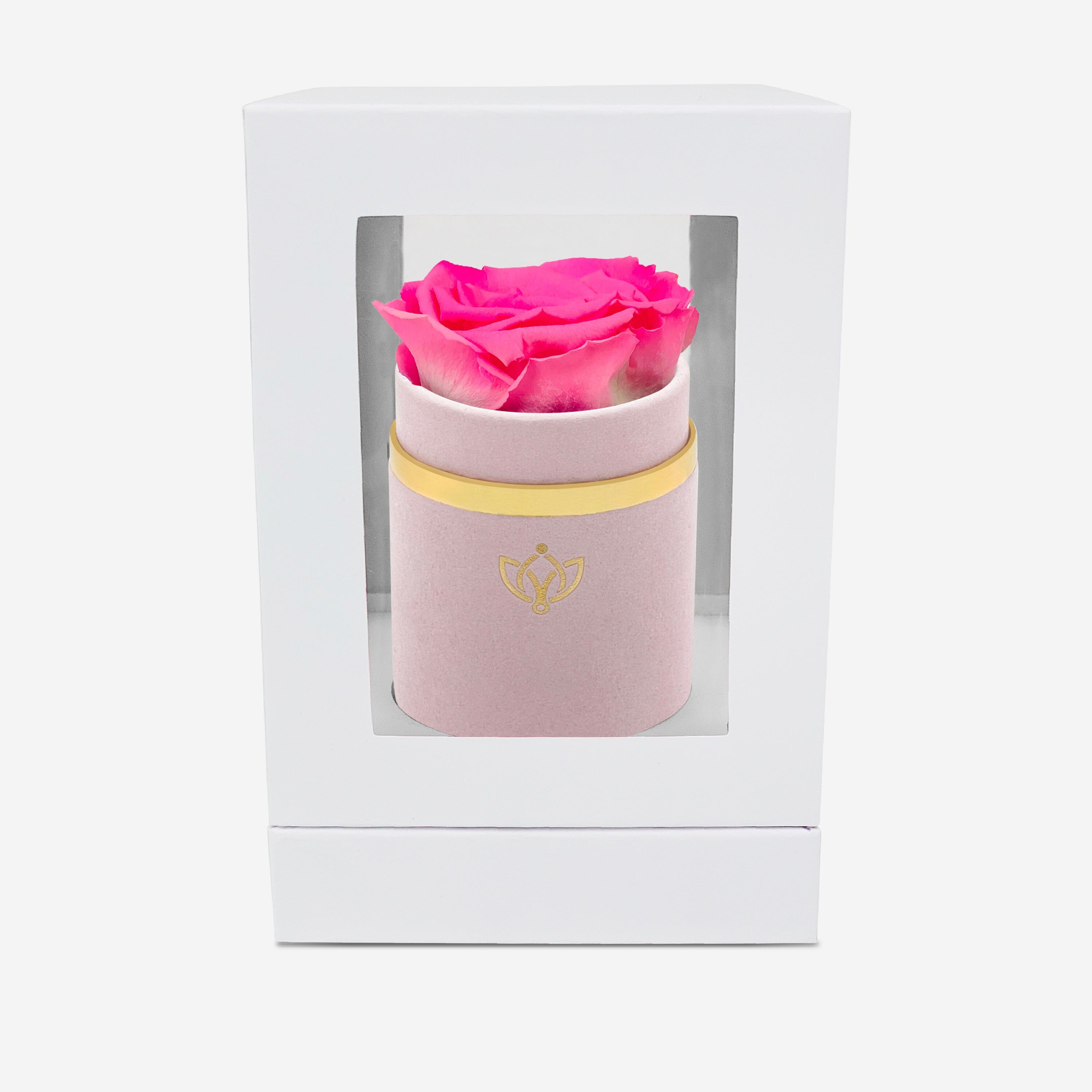 Single Light Pink Suede Box | Candy Pink Rose - The Million Roses