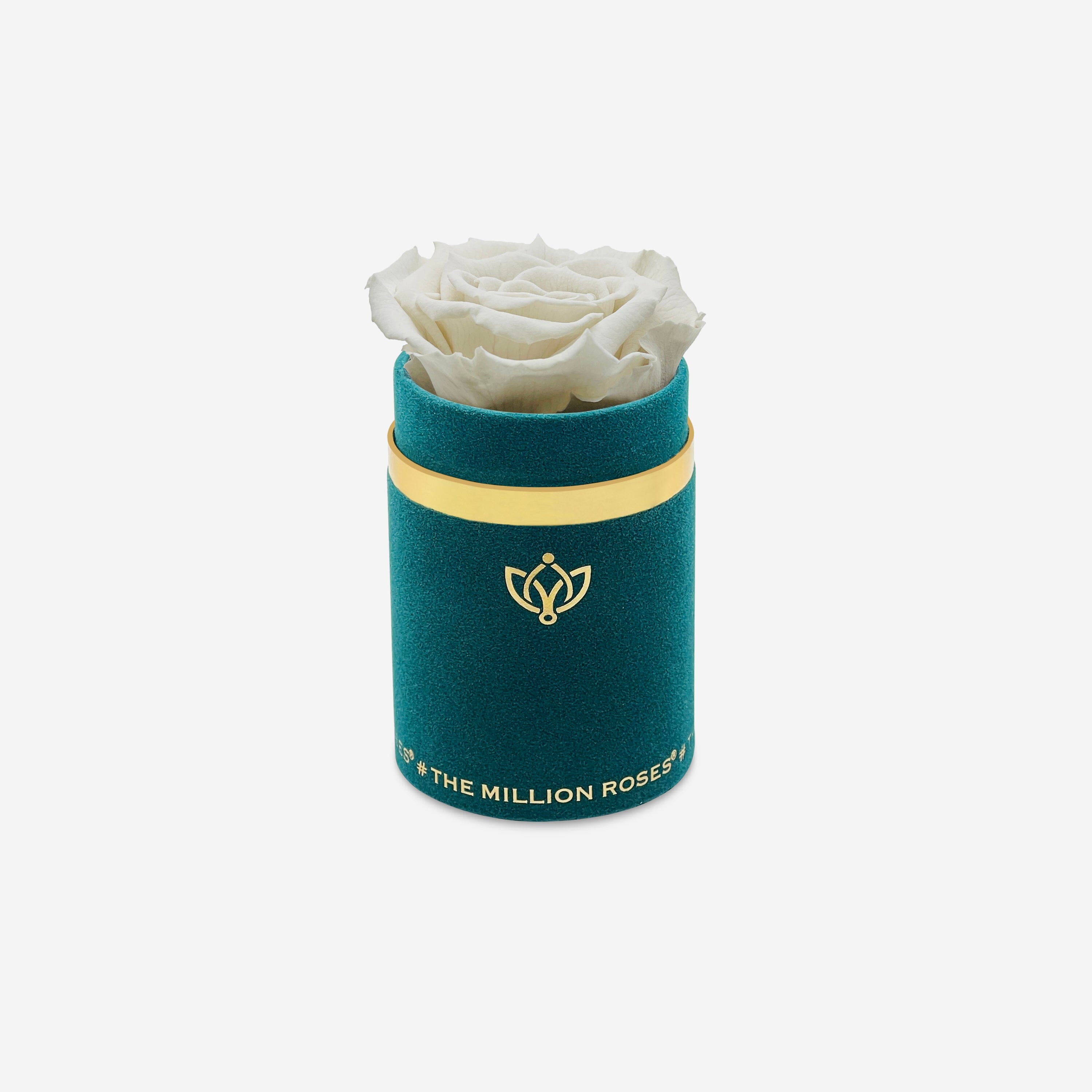 Single Dark Green Suede Box | Off White Rose - The Million Roses