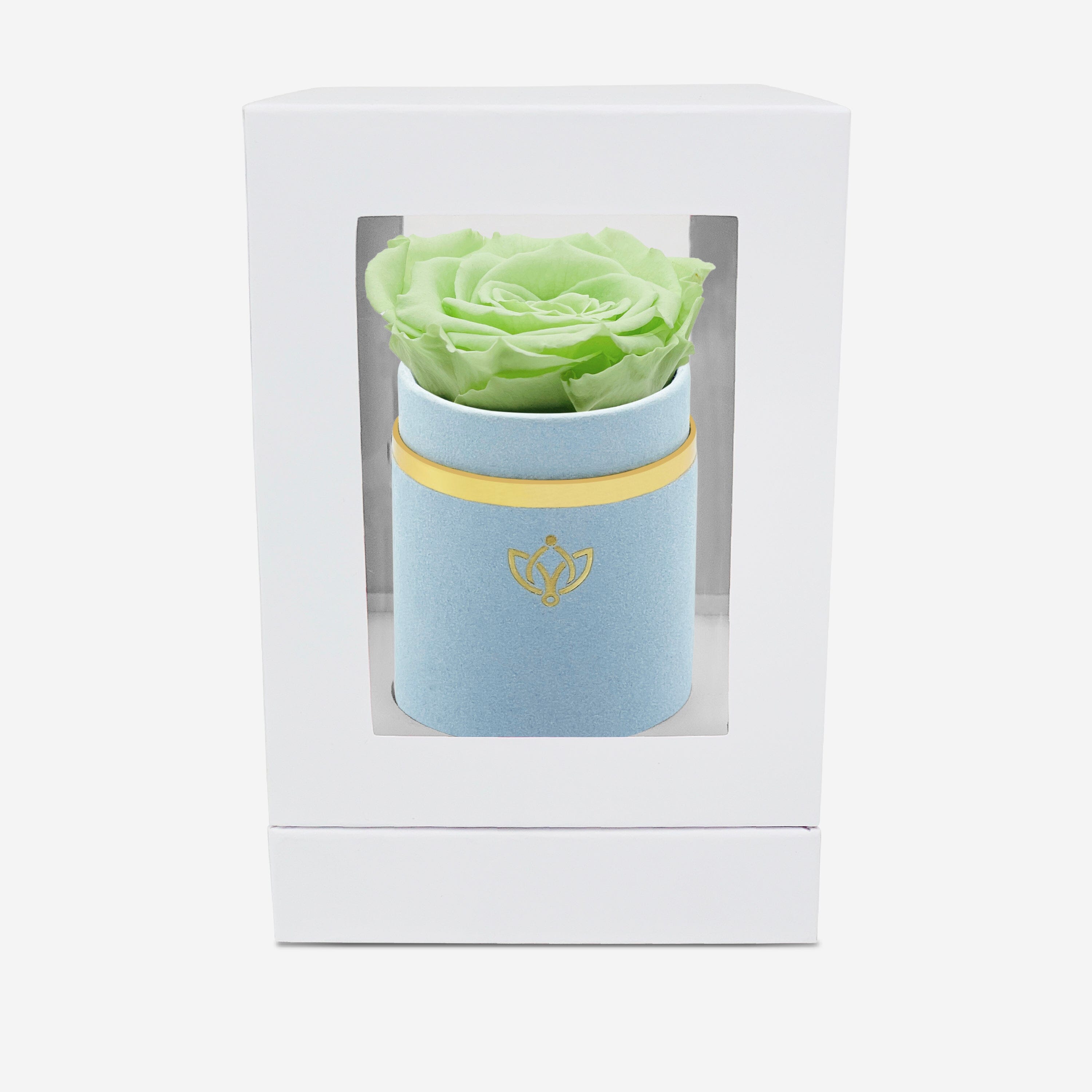 Single Light Blue Suede Box | Mint Green Rose - The Million Roses