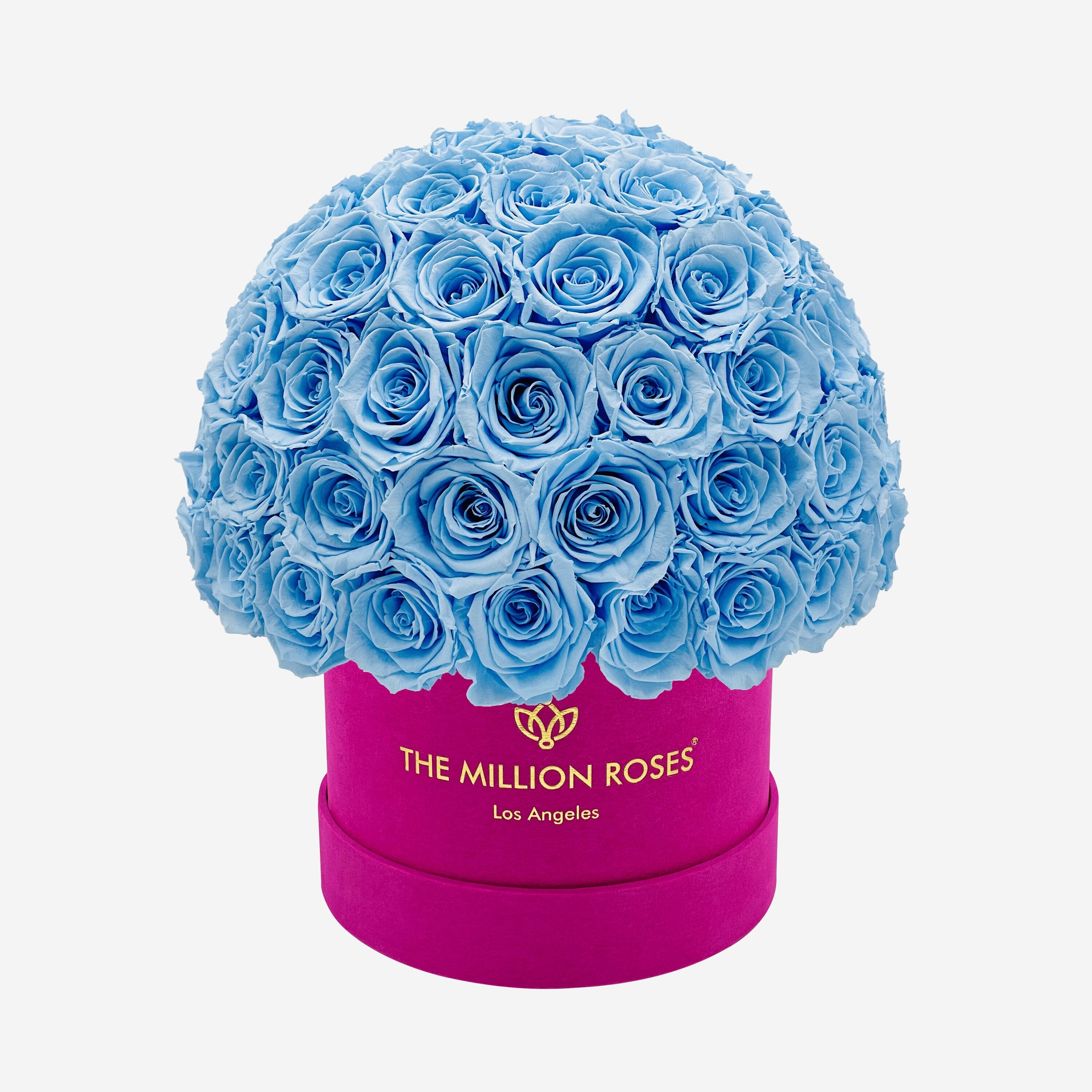 Classic Hot Pink Suede Superdome Box | Light Blue Roses - The Million Roses