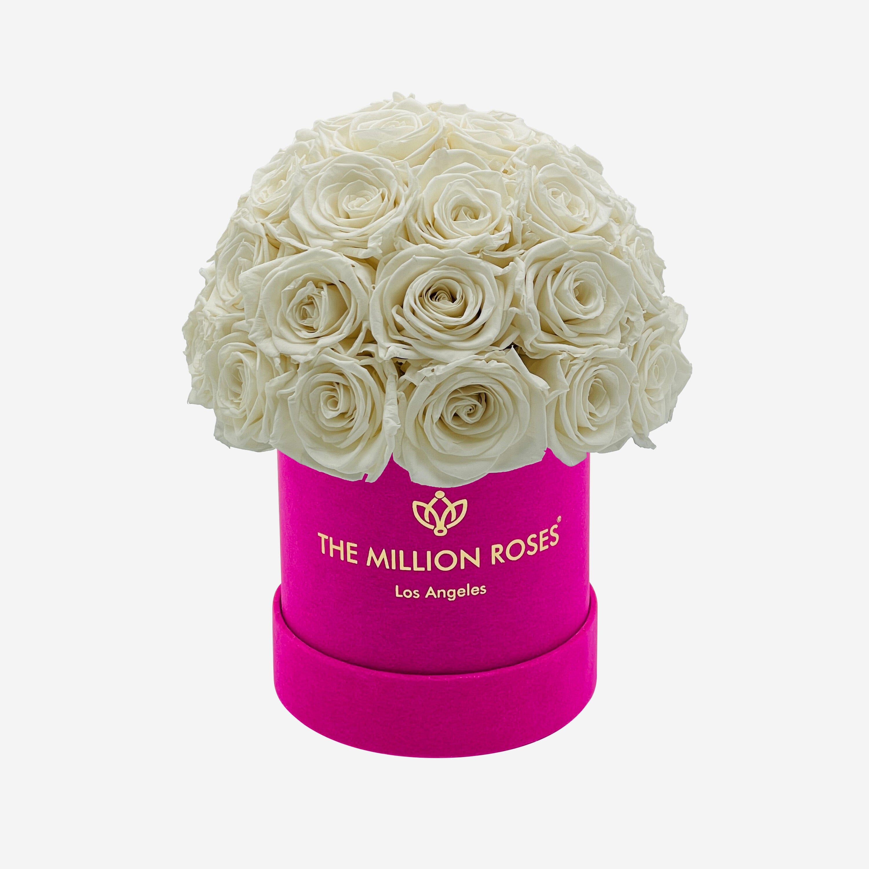 Basic Hot Pink Suede Superdome Box | White Roses - The Million Roses