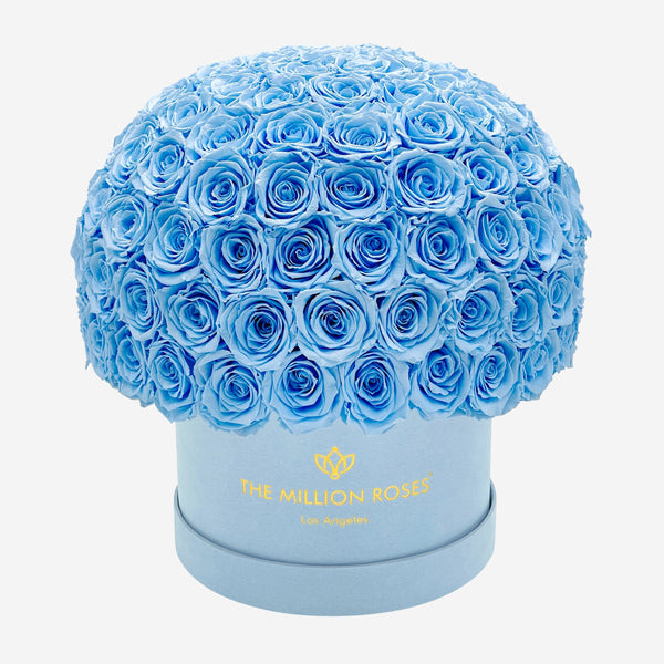 Supreme Light Blue Suede Superdome Box | Light Blue Roses