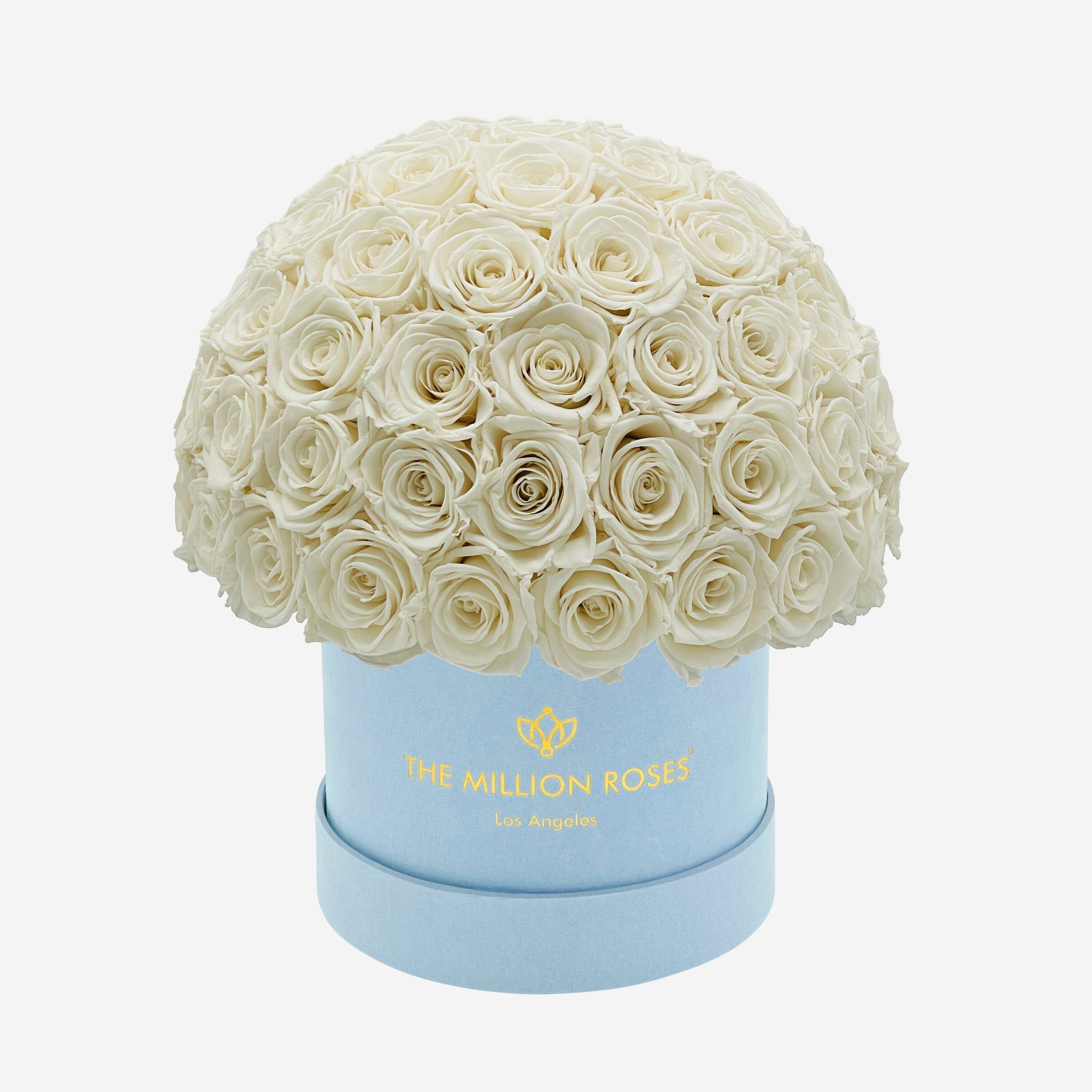 Classic Light Blue Suede Superdome Box | White Roses - The Million Roses