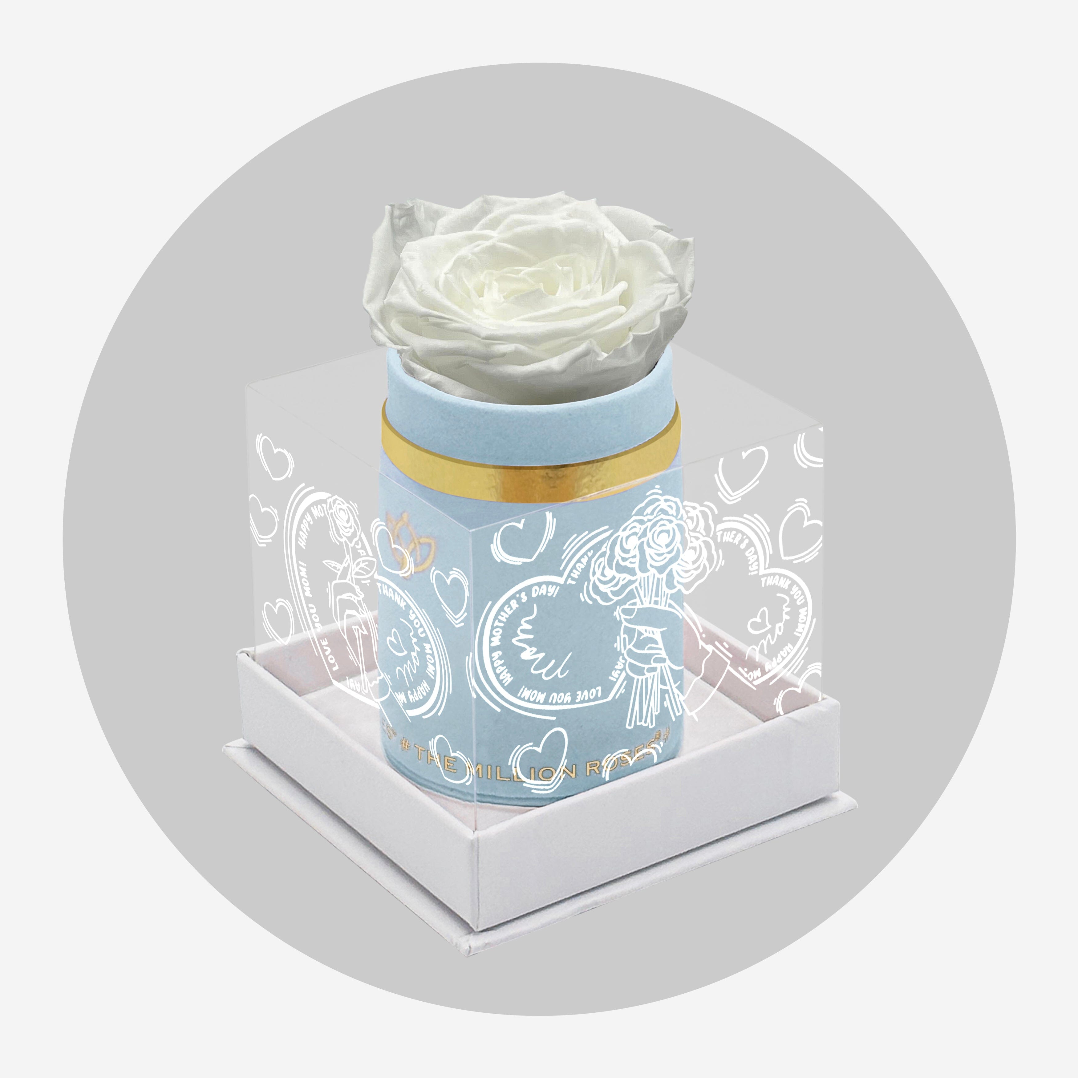 Single Light Blue Suede Box | Limited Mother's Love Edition | White Rose
