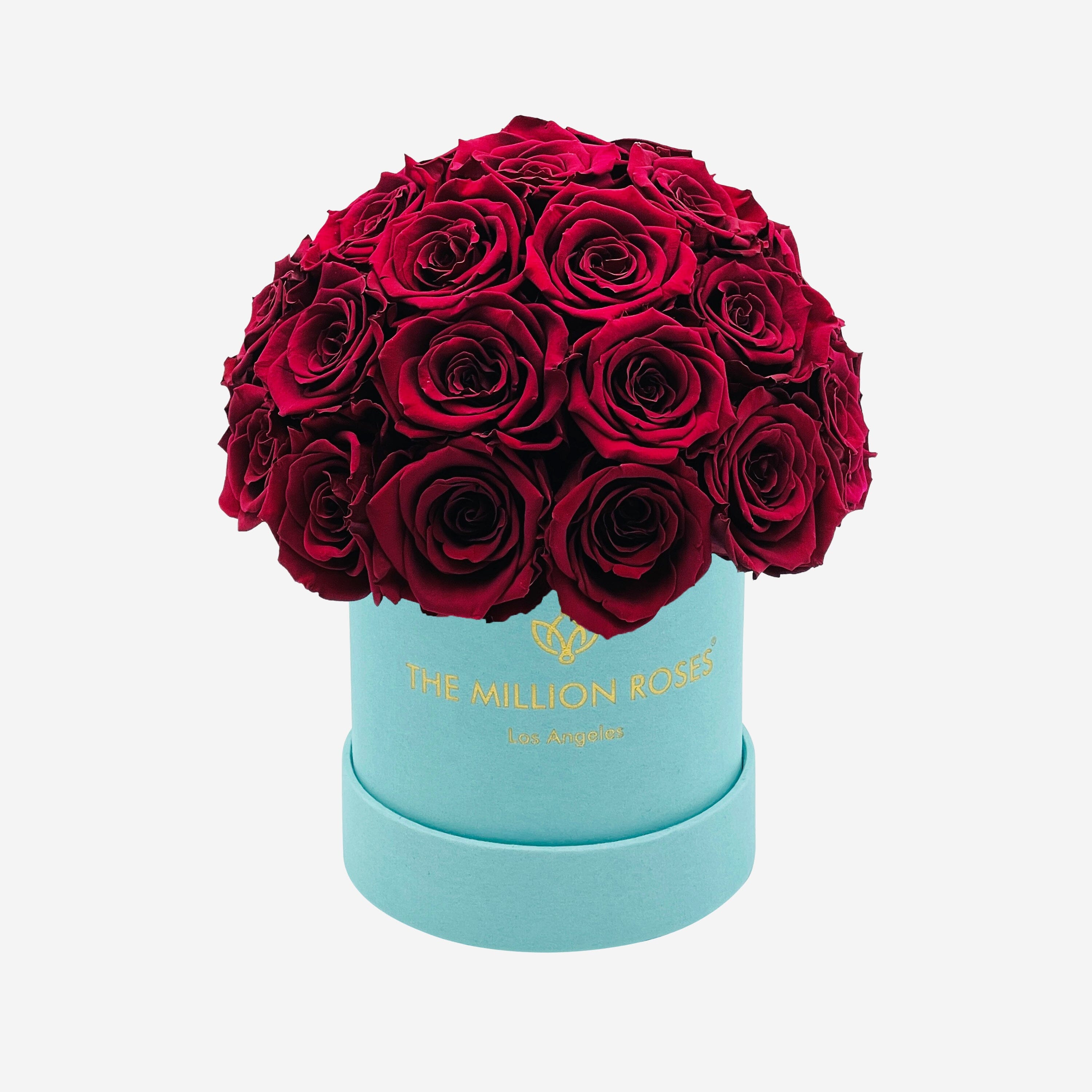 Basic Mint Green Suede Superdome Box | Burgundy Roses - The Million Roses