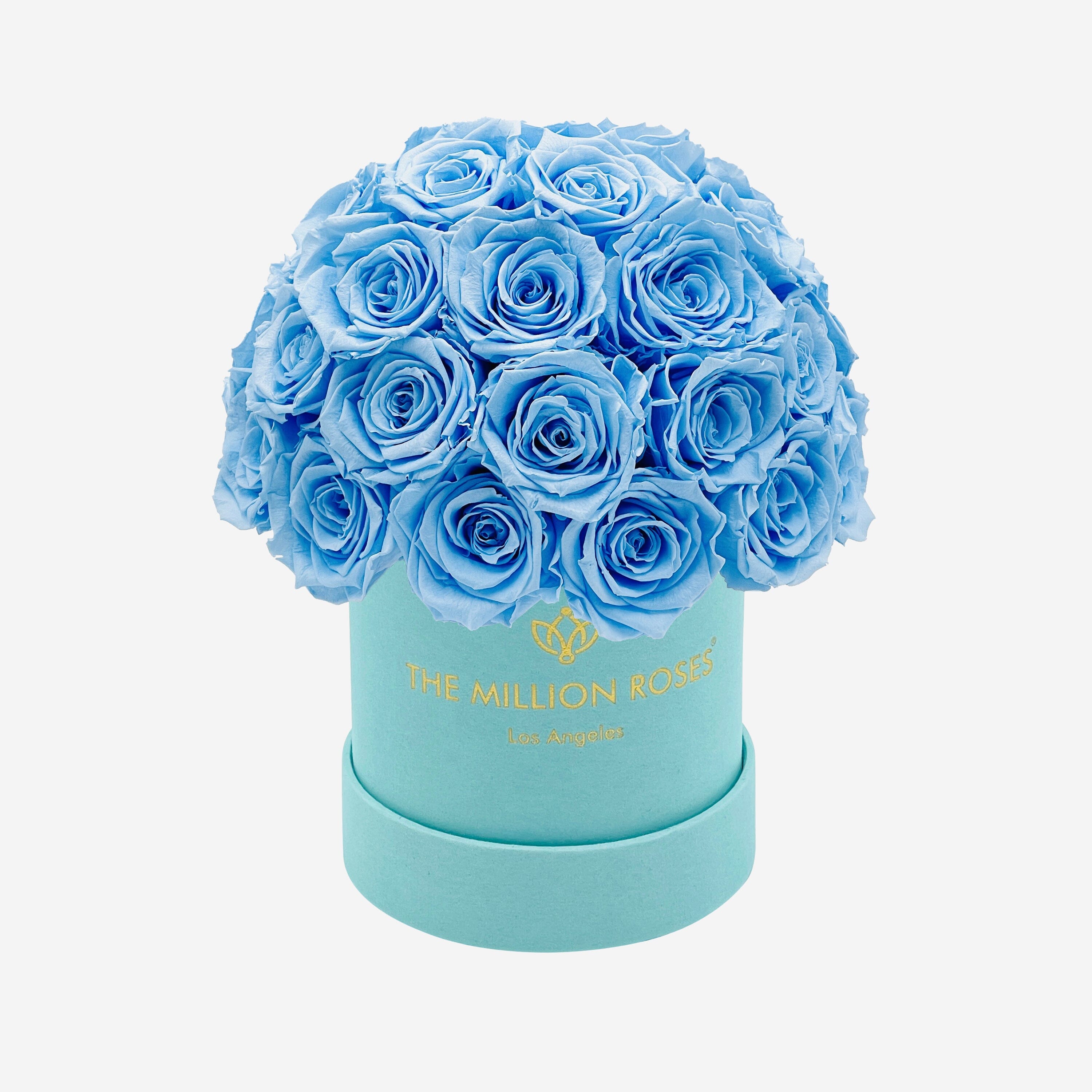 Basic Mint Green Suede Superdome Box | Light Blue Roses - The Million Roses