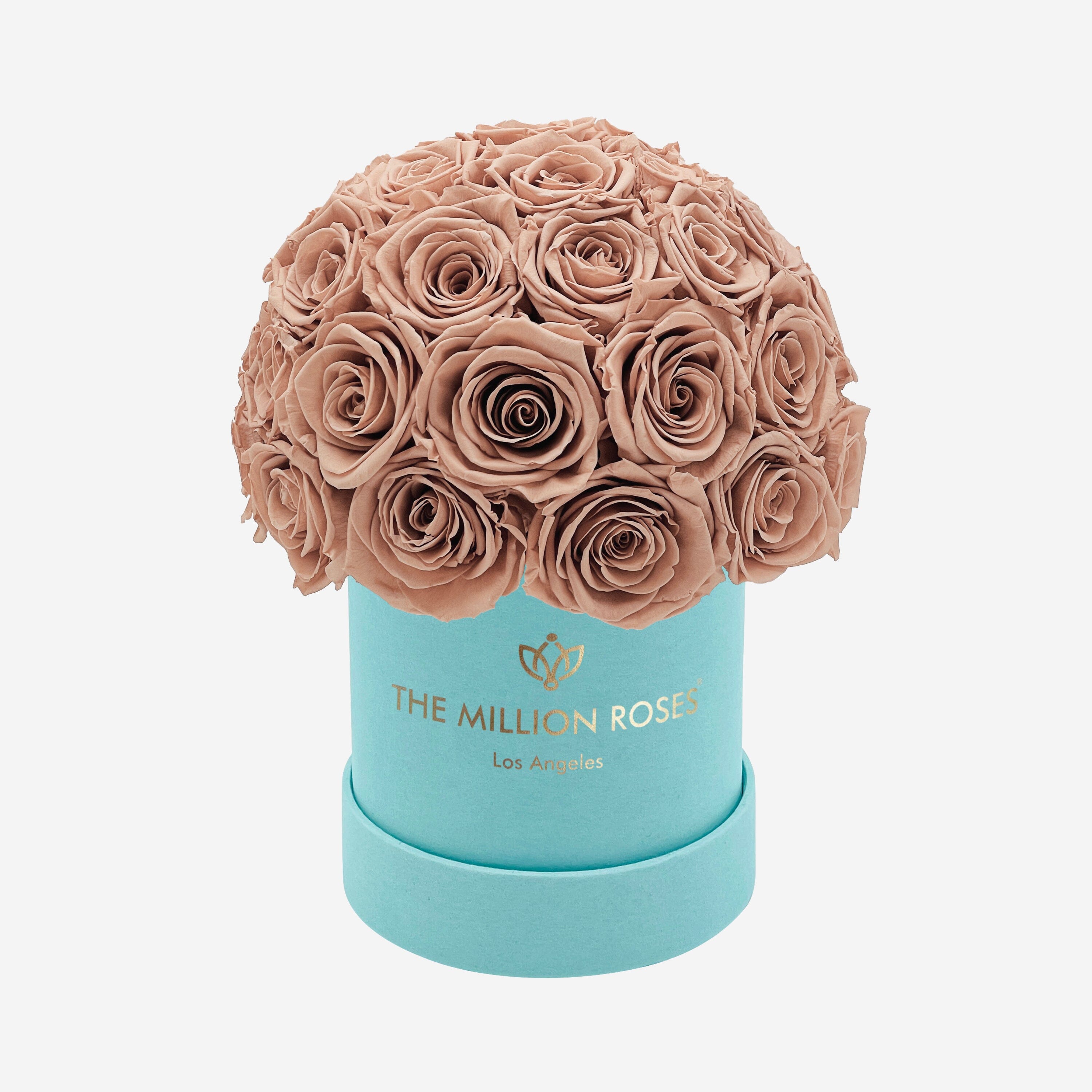 Basic Mint Green Suede Superdome Box | Sand Roses