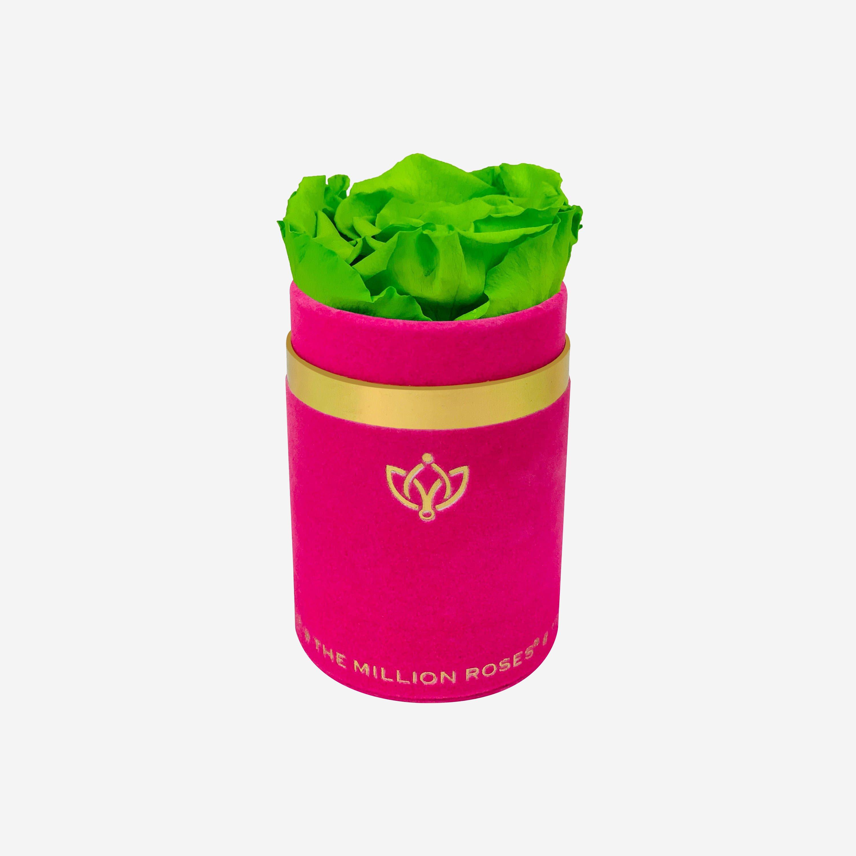 Single Hot Pink Suede Box | All Colors - The Million Roses