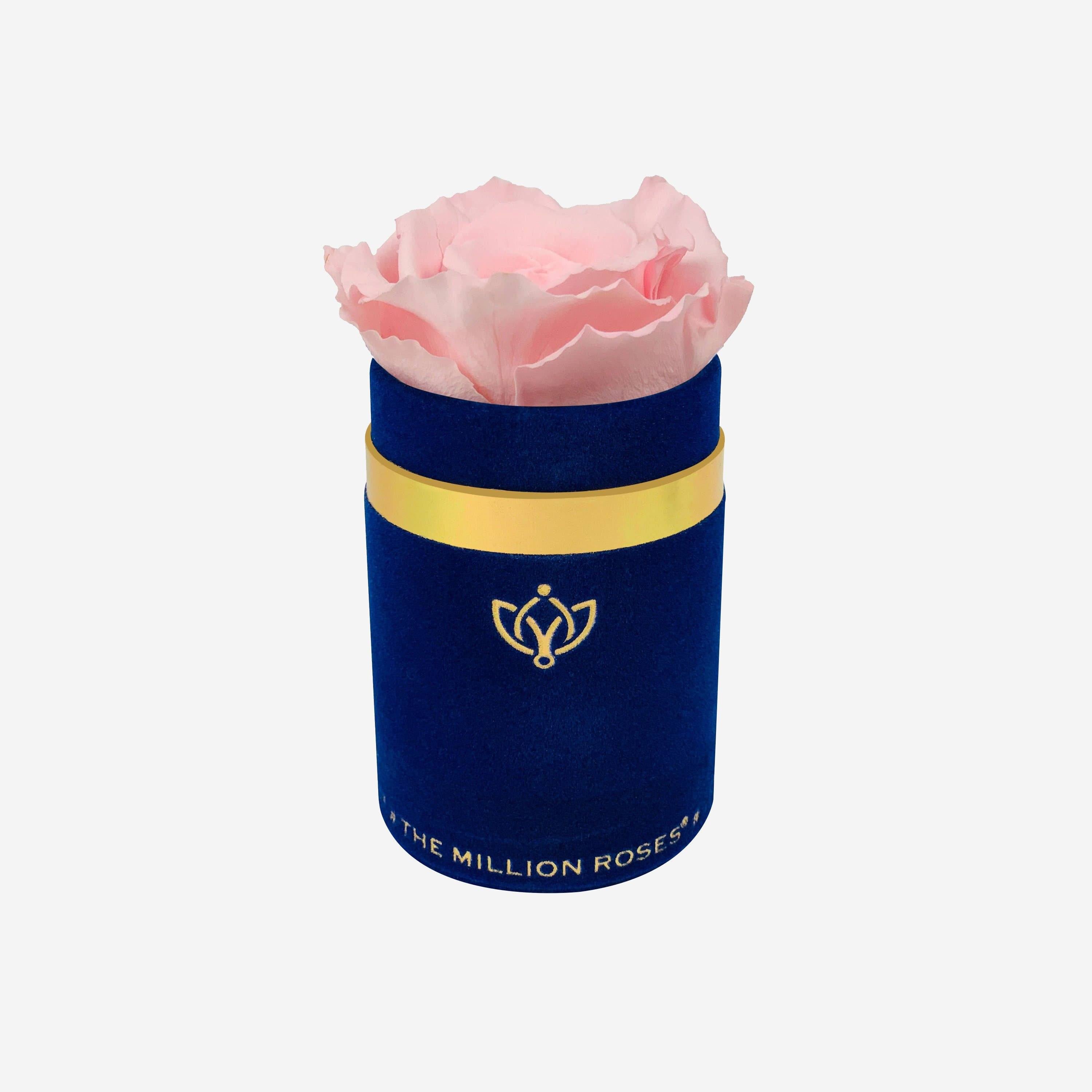 Single Royal Blue Suede Box | All Colors - The Million Roses