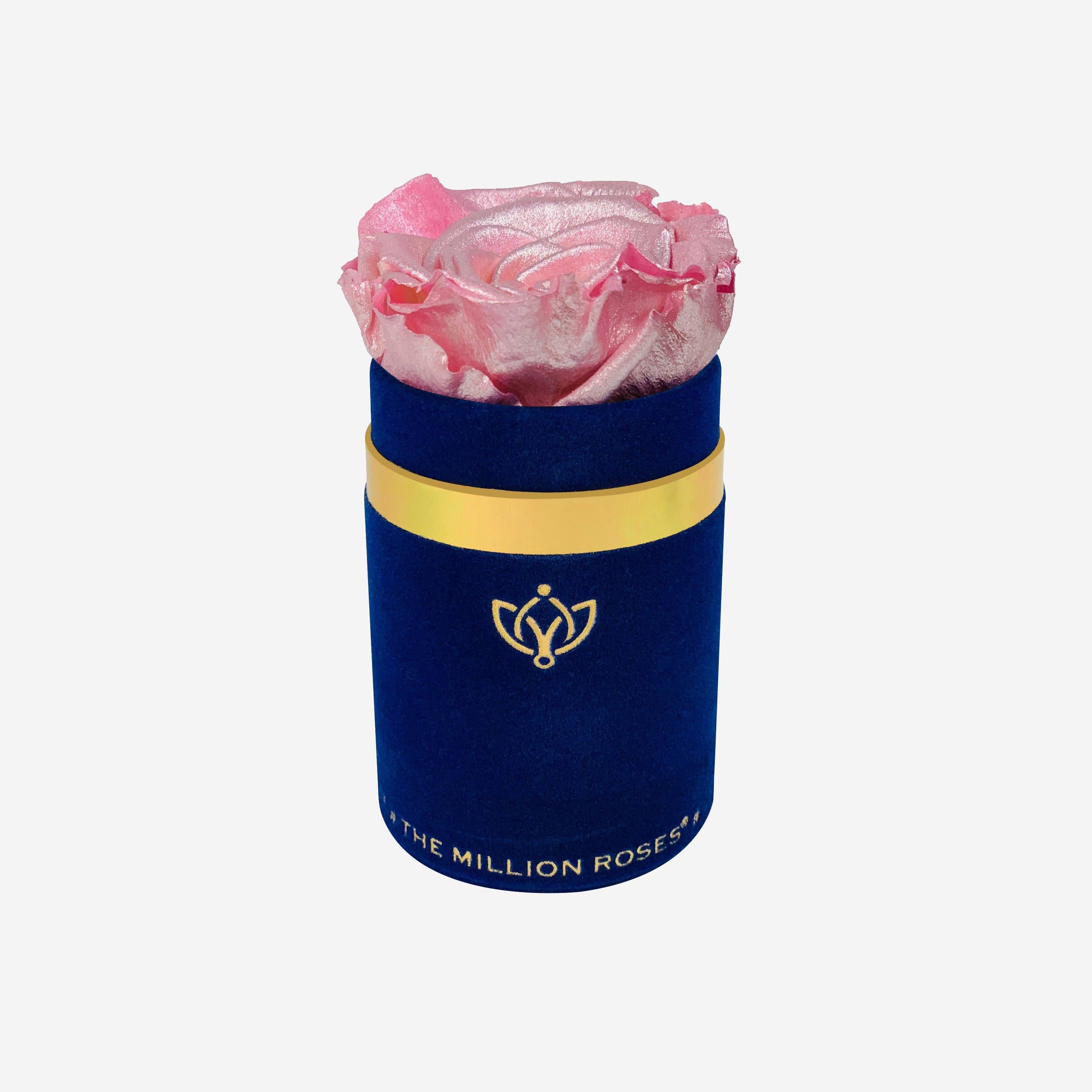 Single Royal Blue Suede Box | All Colors - The Million Roses