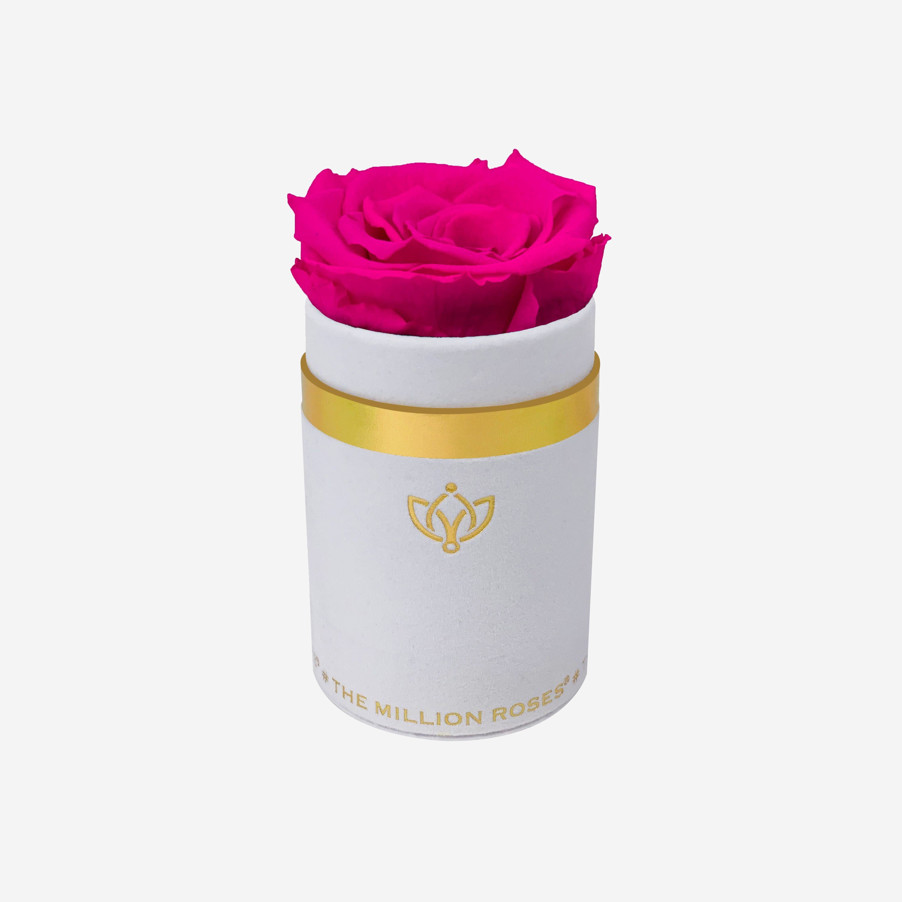 Single White Suede Box | All Colors - The Million Roses