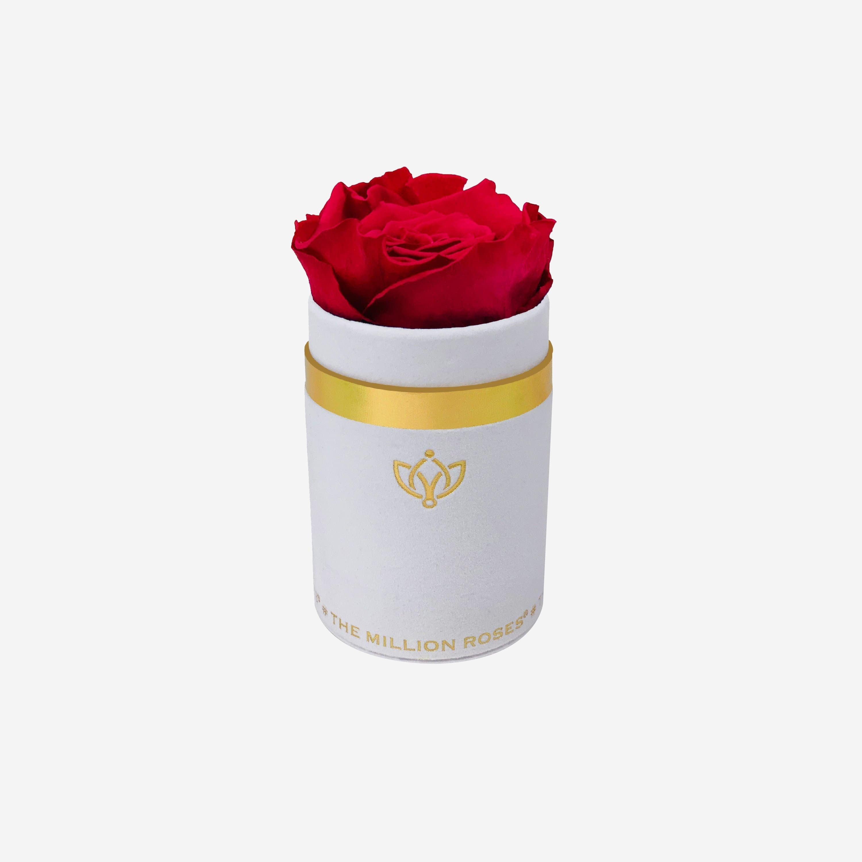 Single White Suede Box | Magenta Rose