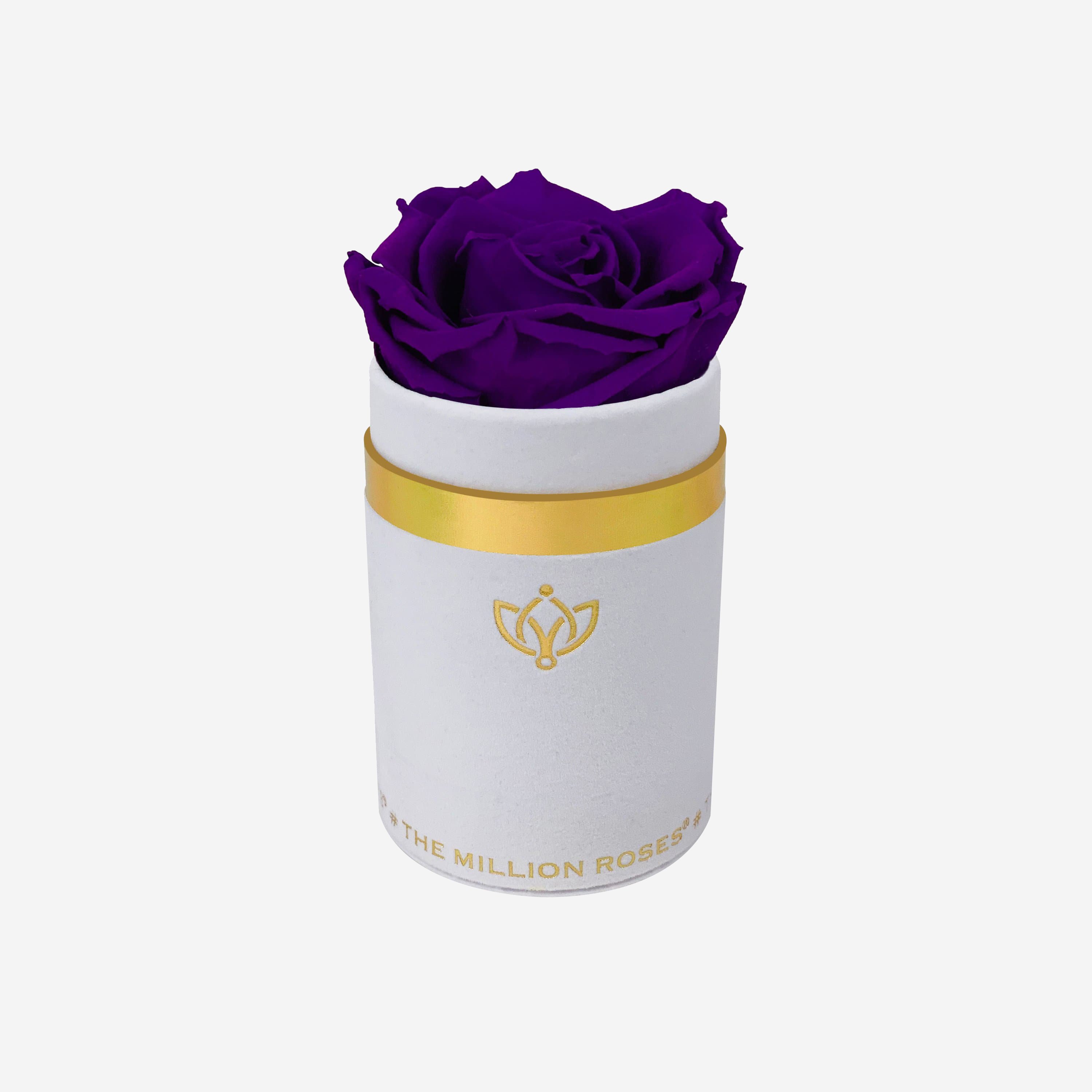 Single White Suede Box | All Colors - The Million Roses