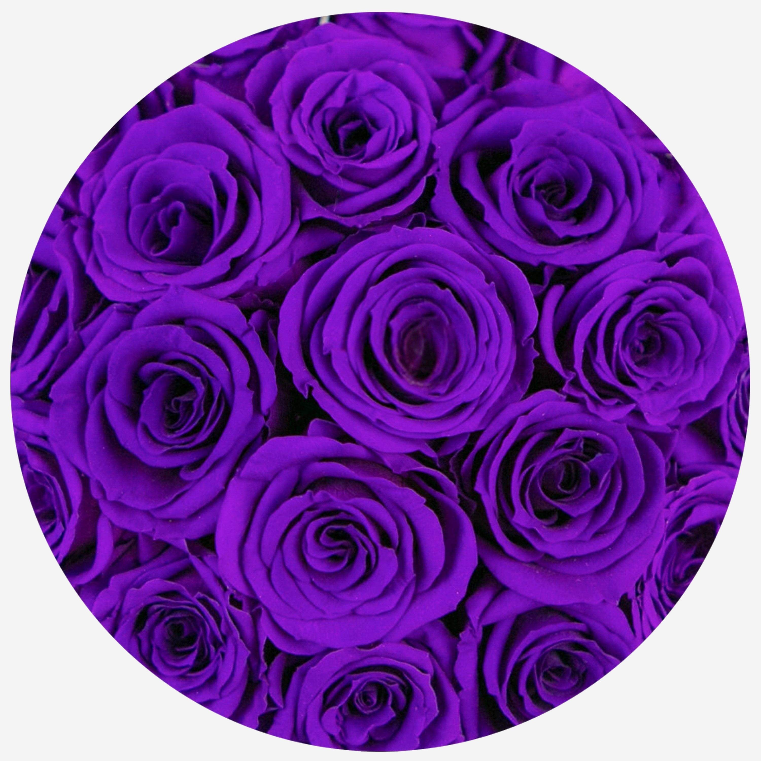 Basic Black Box | Bright Purple Roses
