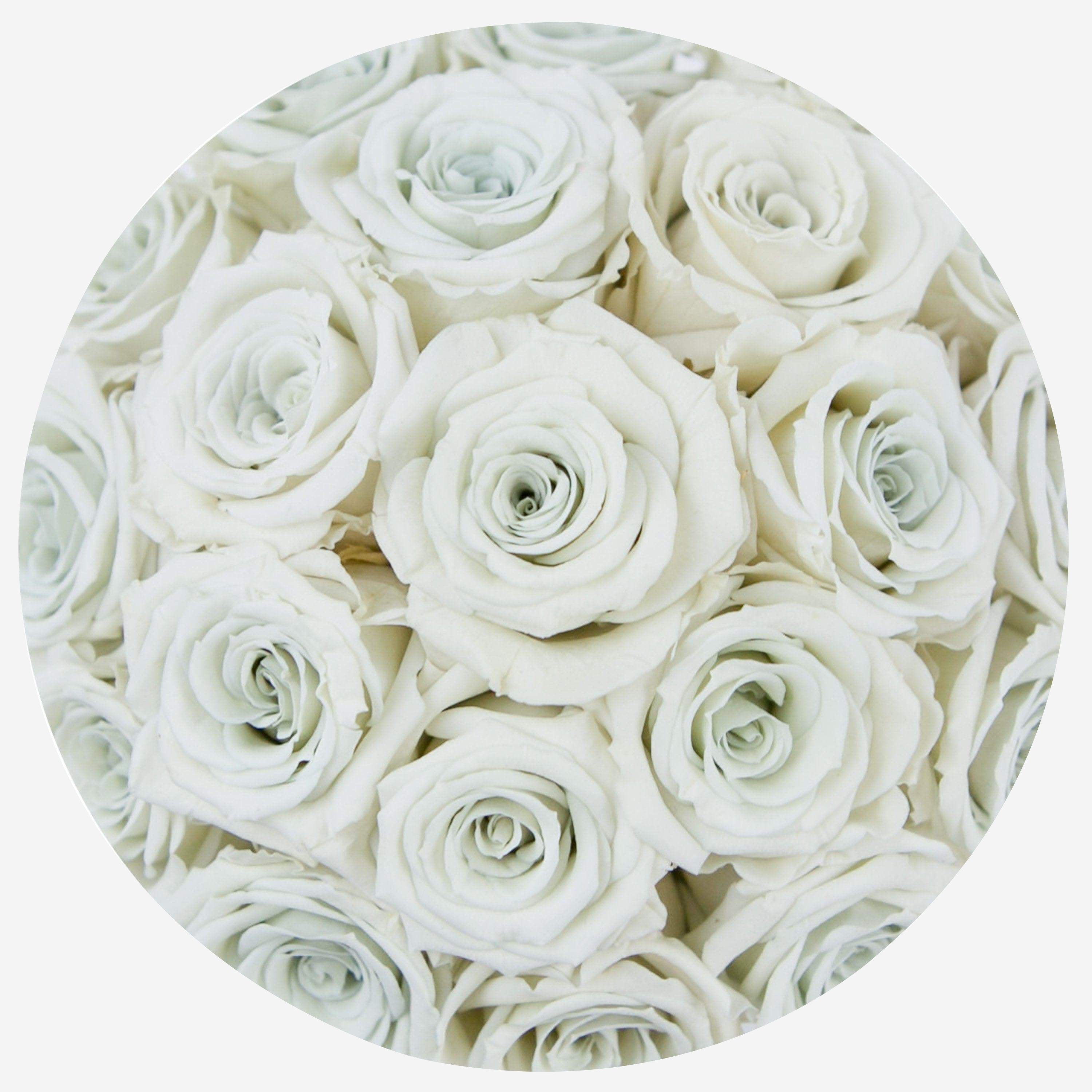 Basic Black Box | White Roses