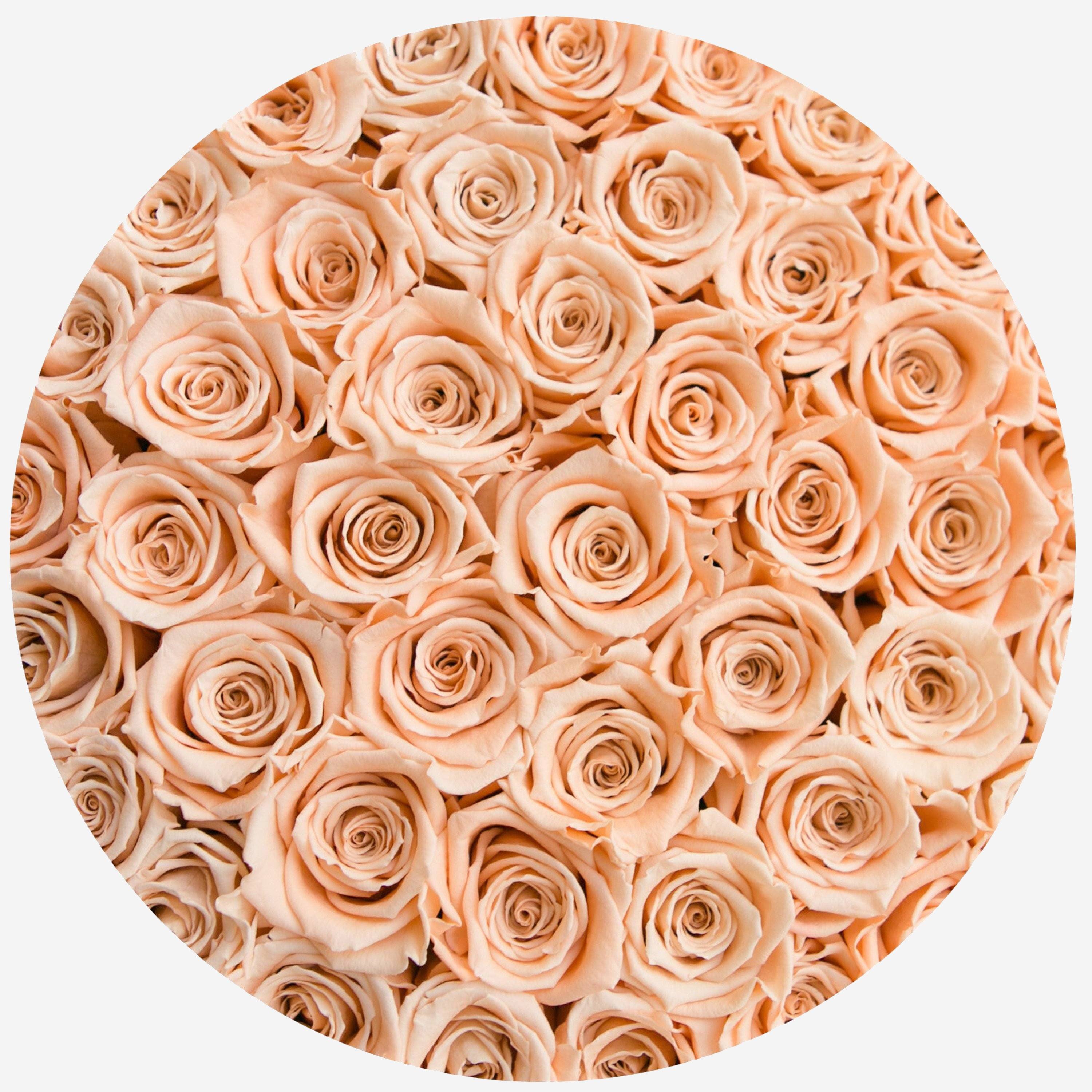 Supreme Black Box | Peach Roses - The Million Roses