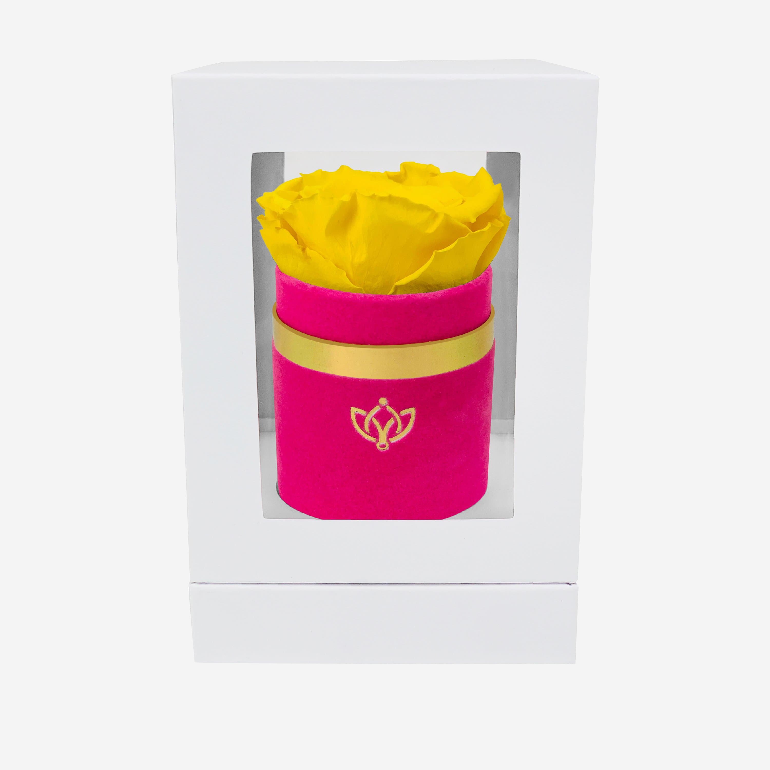 Single Hot Pink Suede Box | Yellow Rose - The Million Roses