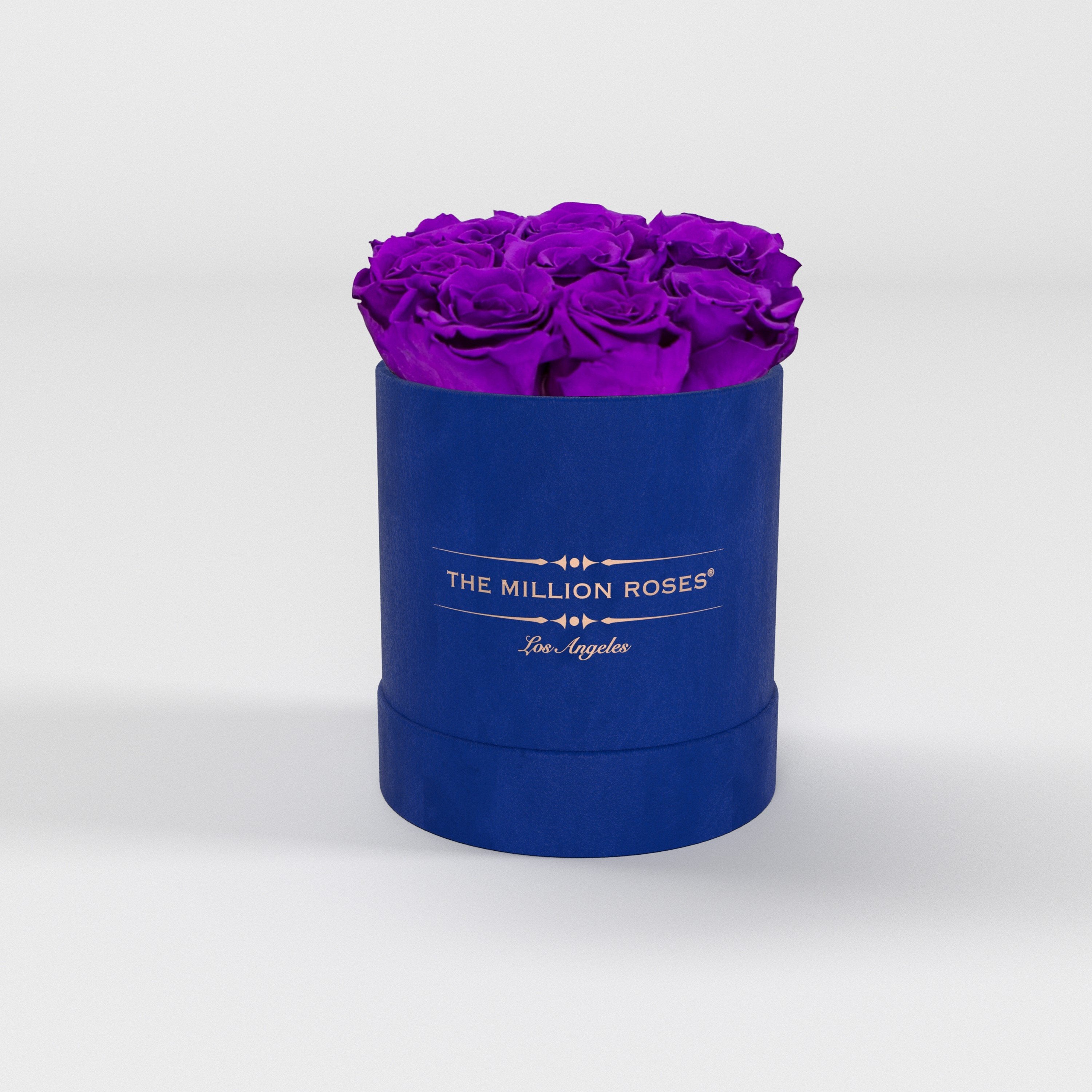 ( LA ) Blue - Suede - Basic Box with Bright Purple Roses Kit - the million roses
