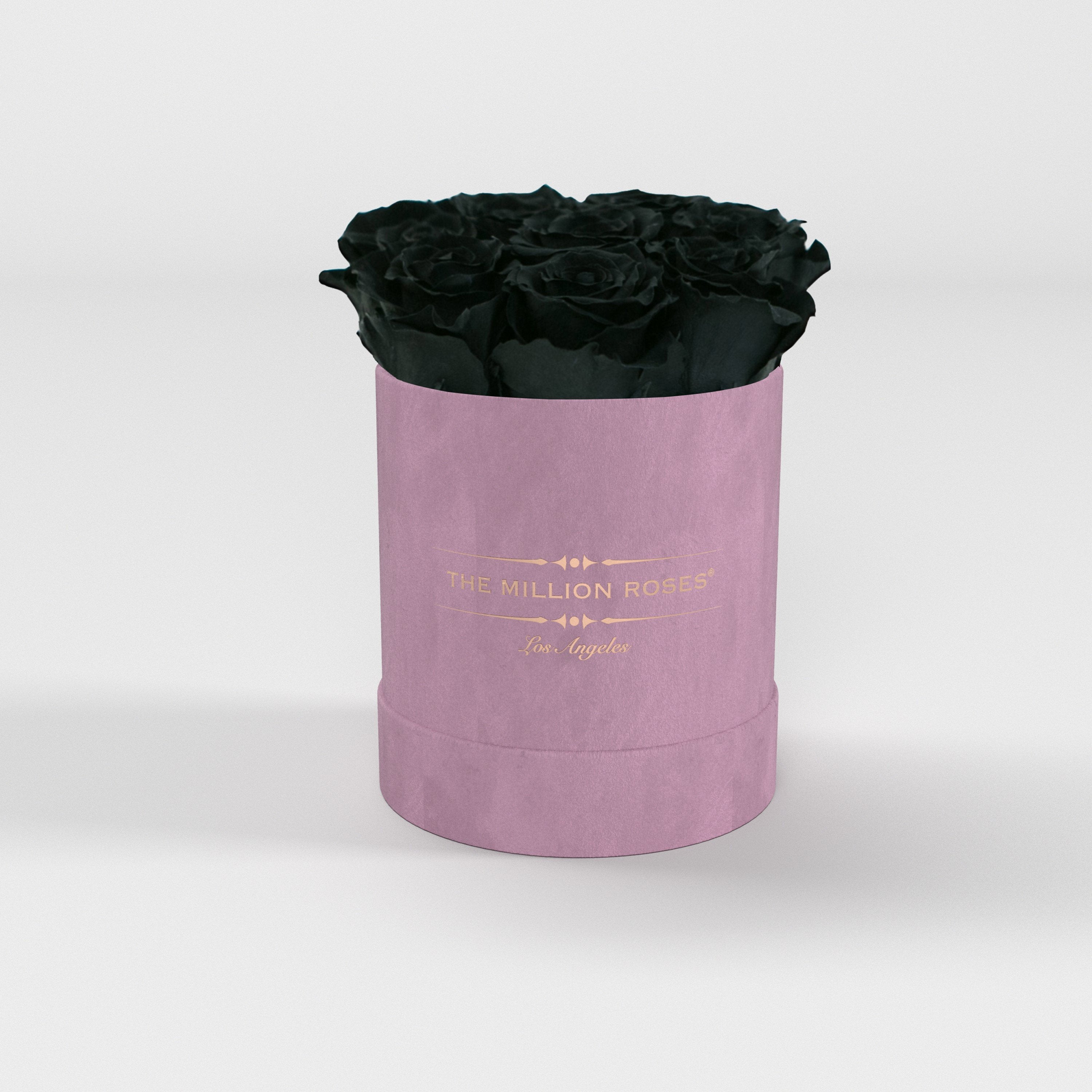 ( LA ) Light Pink - Suede - Basic Box with Black Roses Kit - the million roses