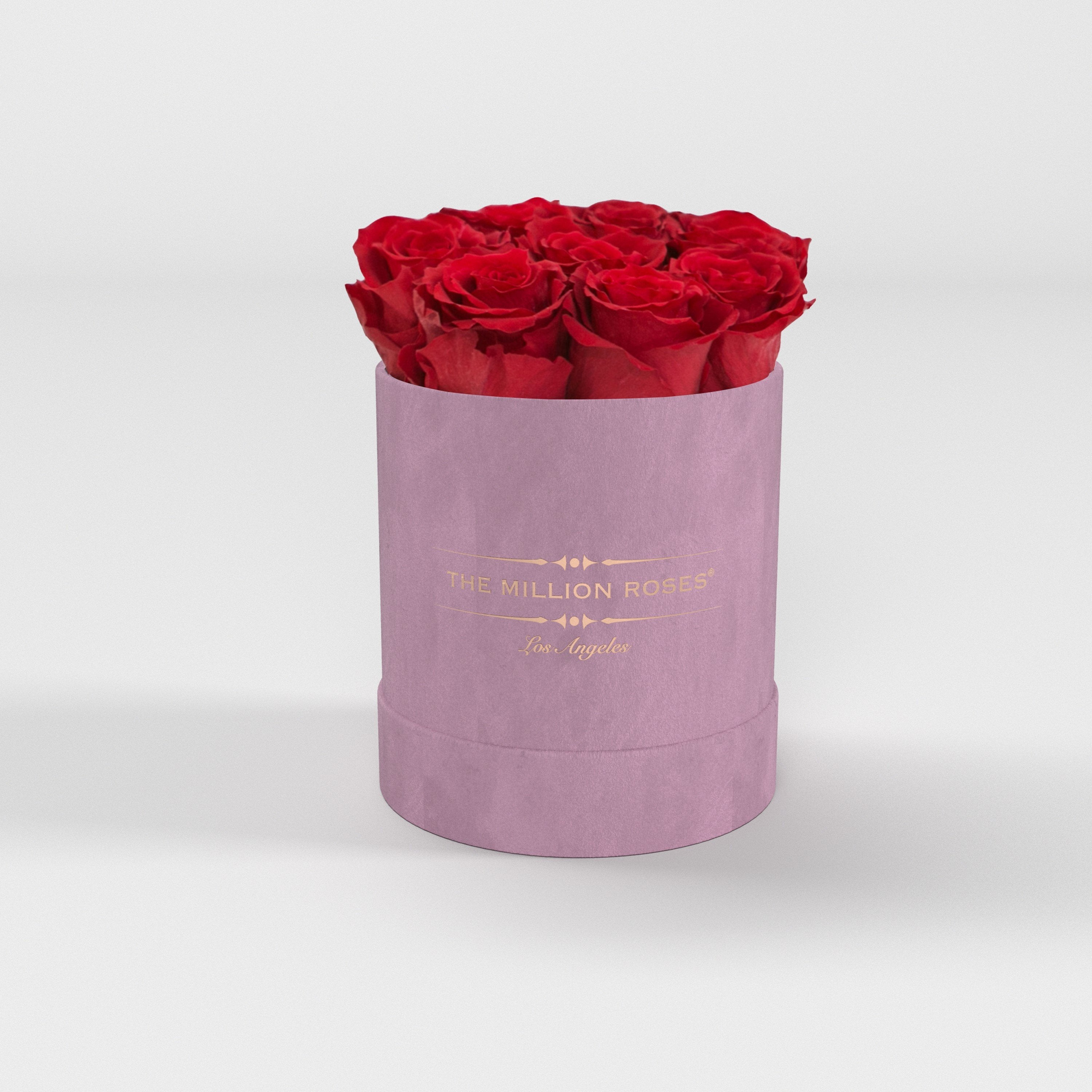 ( LA ) Light Pink - Suede - Basic Box with Red Roses Kit - the million roses