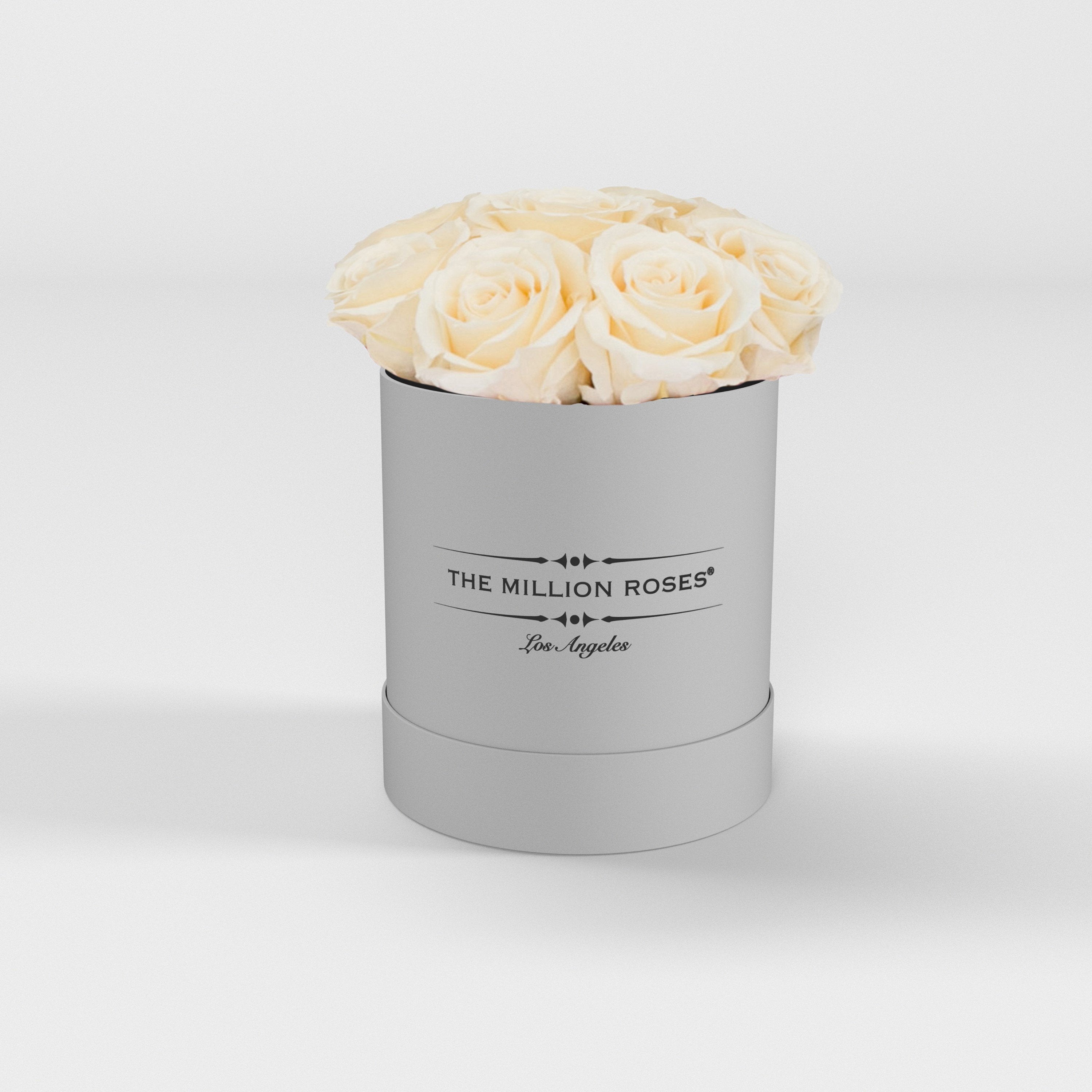 ( LA ) White - Basic Box with Ivory Roses