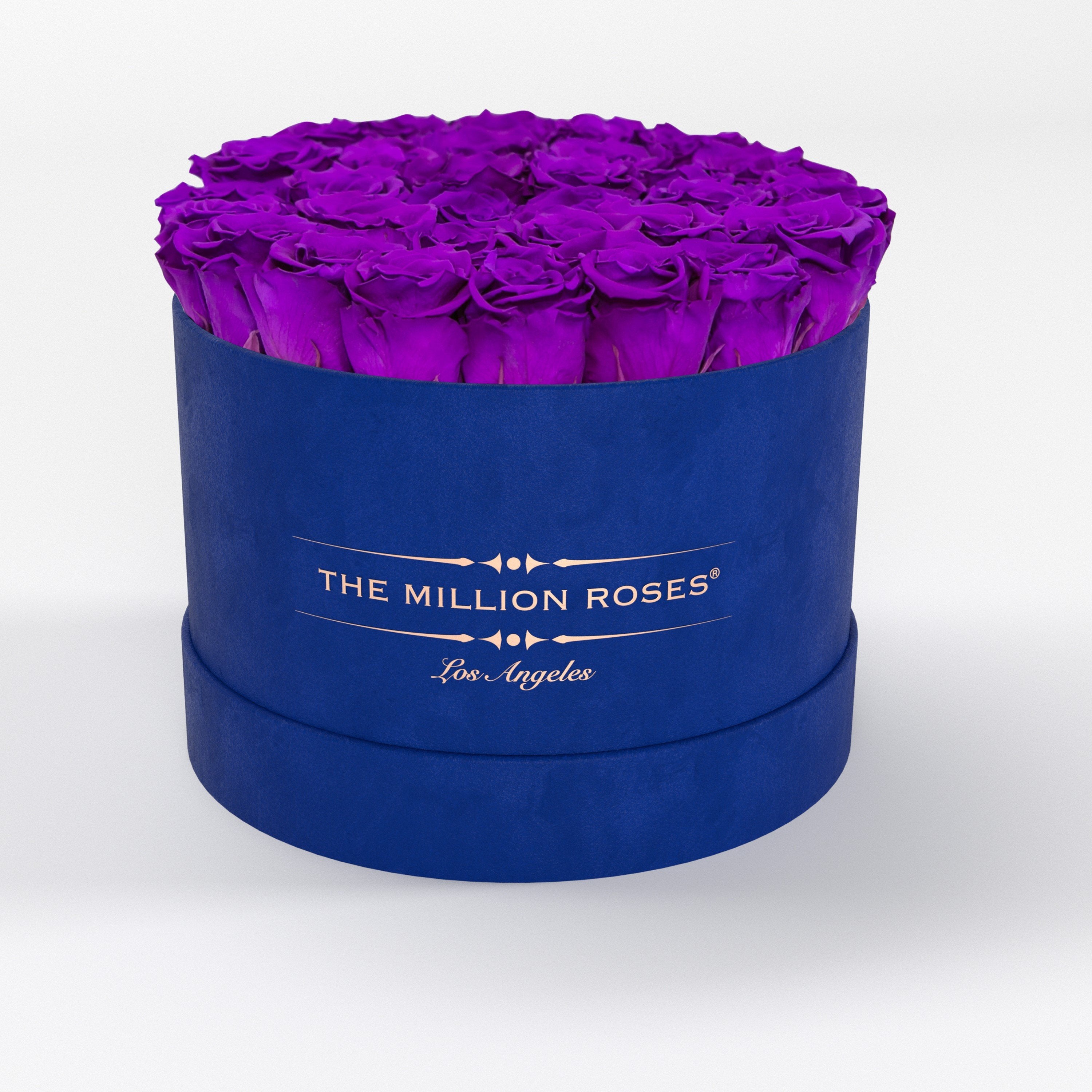 ( LA ) Blue - Suede - Premium Box with Bright Purple Roses Kit - the million roses