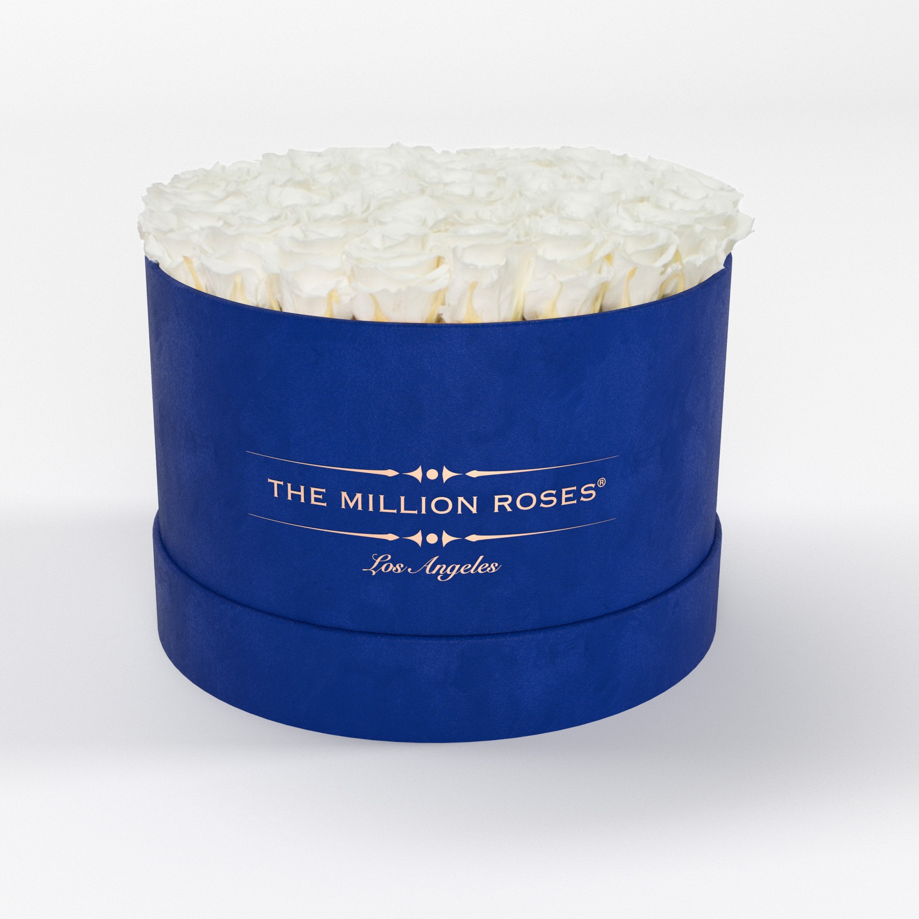 ( LA ) Blue - Suede - Premium Box with White Roses Kit - the million roses