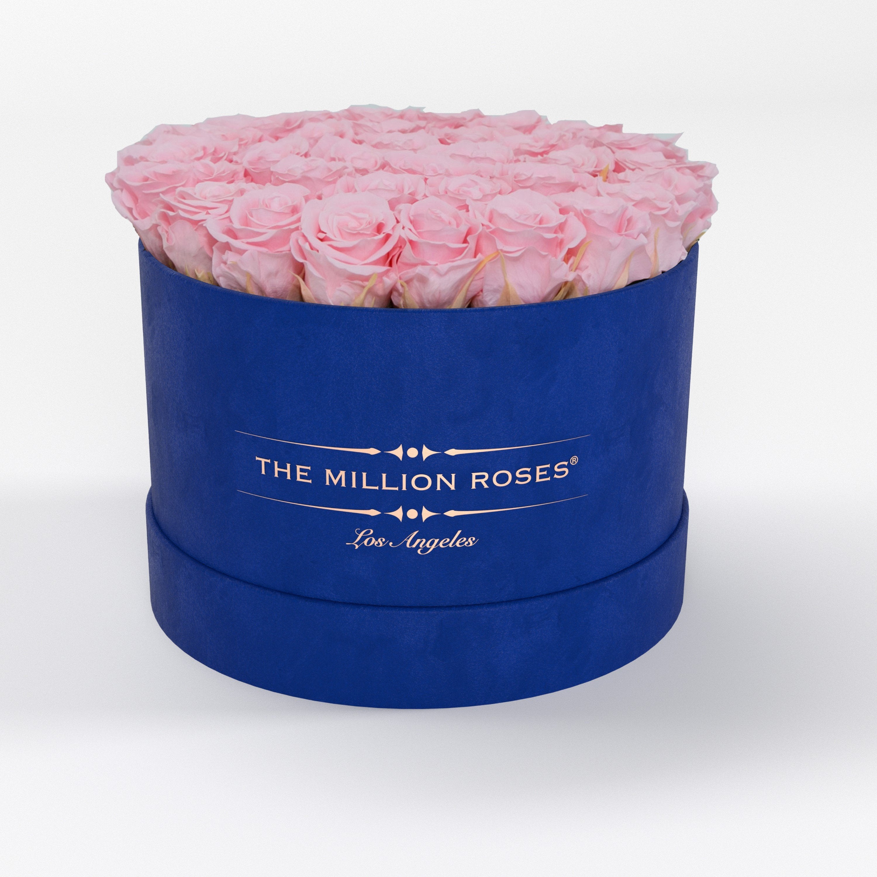 ( LA ) Blue - Suede - Premium Box with Light Pink Roses Kit - the million roses