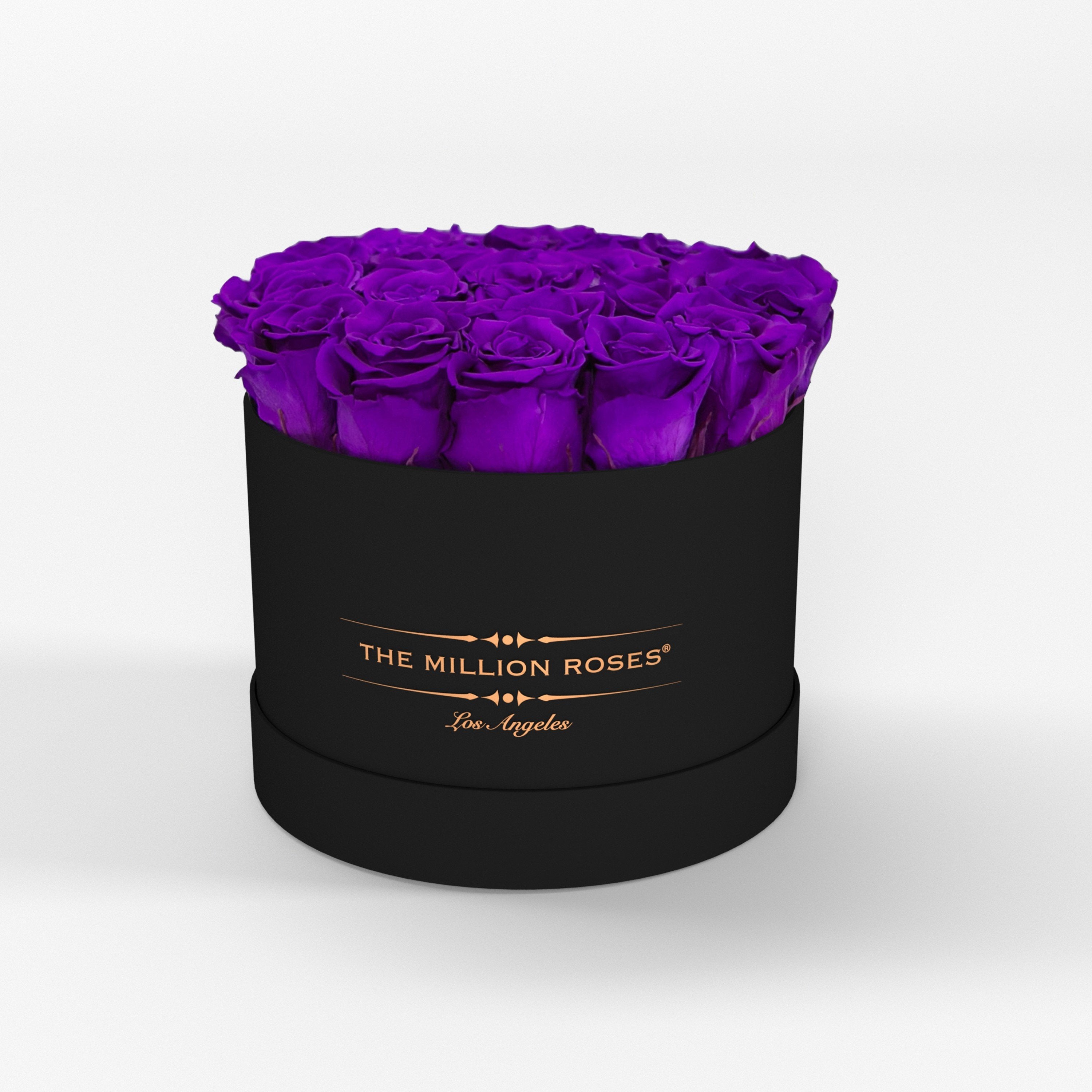 ( LA ) Black - Classic Box with Bright Purple Roses