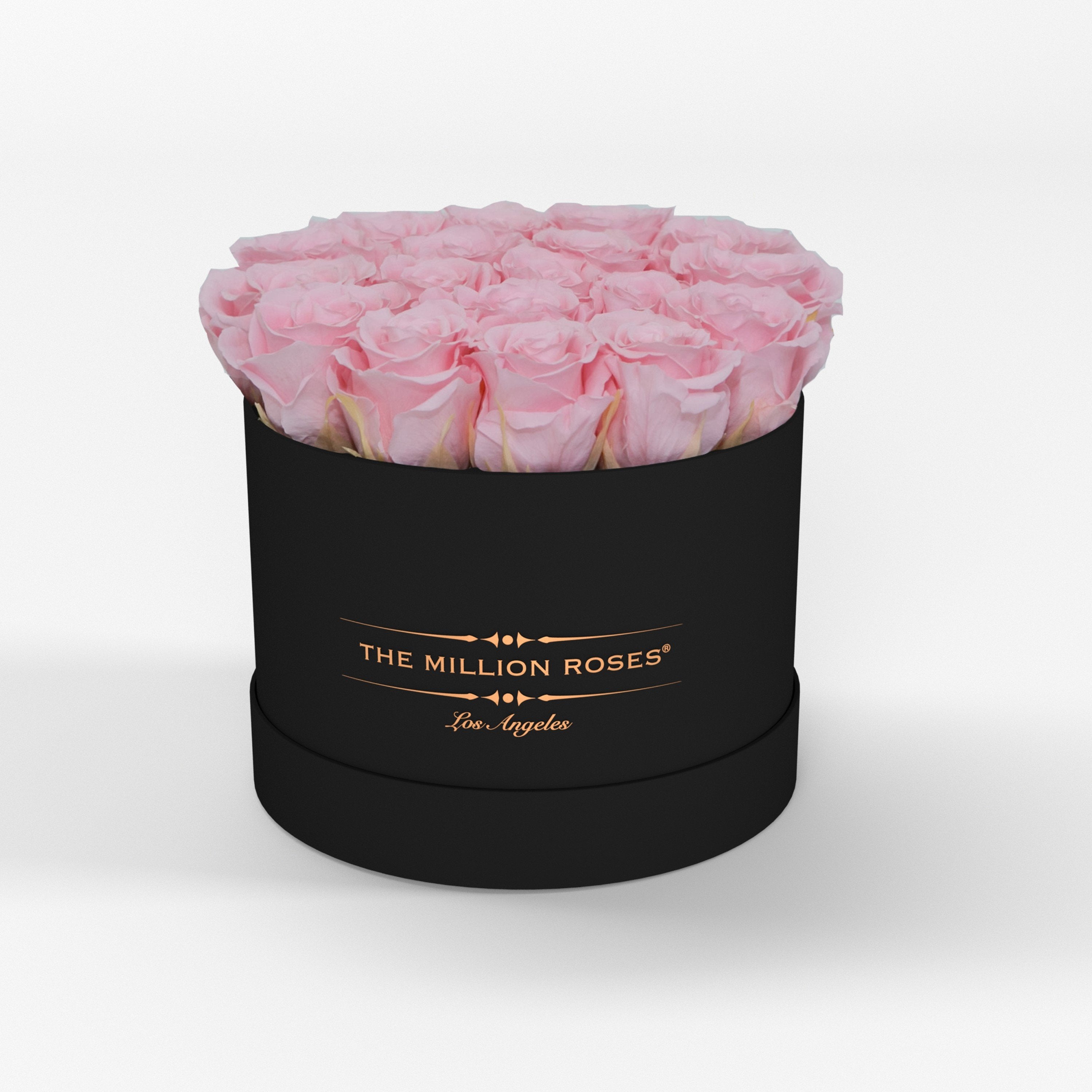 ( LA ) Black - Classic Box with Light Pink Roses