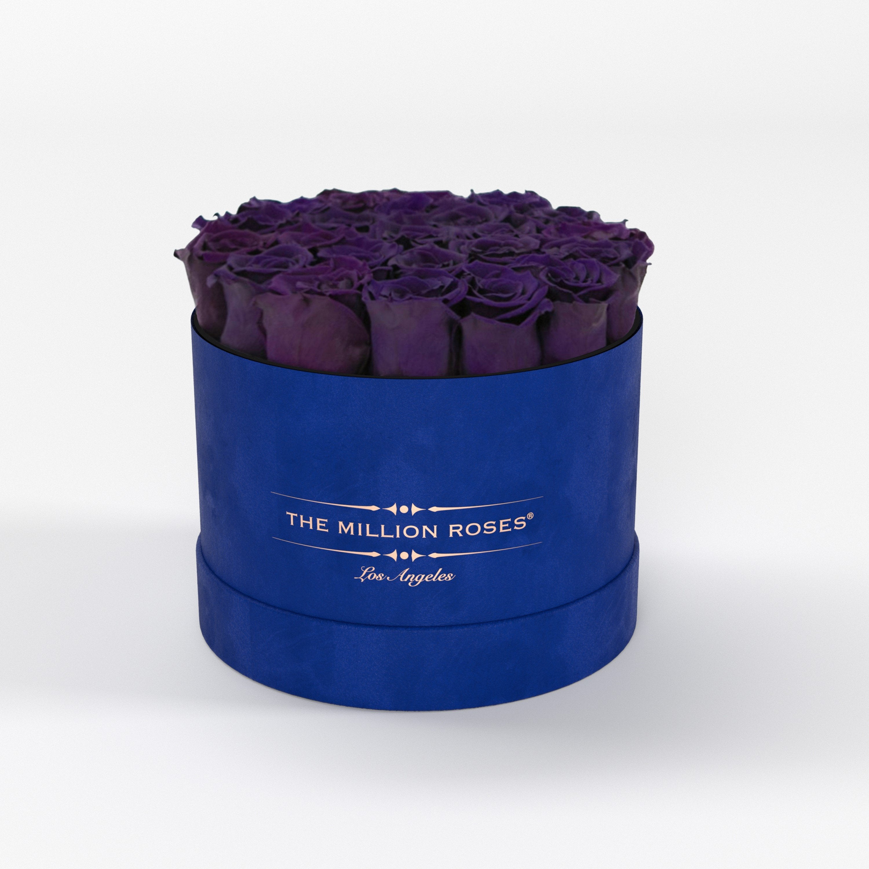 ( LA ) Blue - Suede - Classic Box with Dark Purple Roses Kit - the million roses