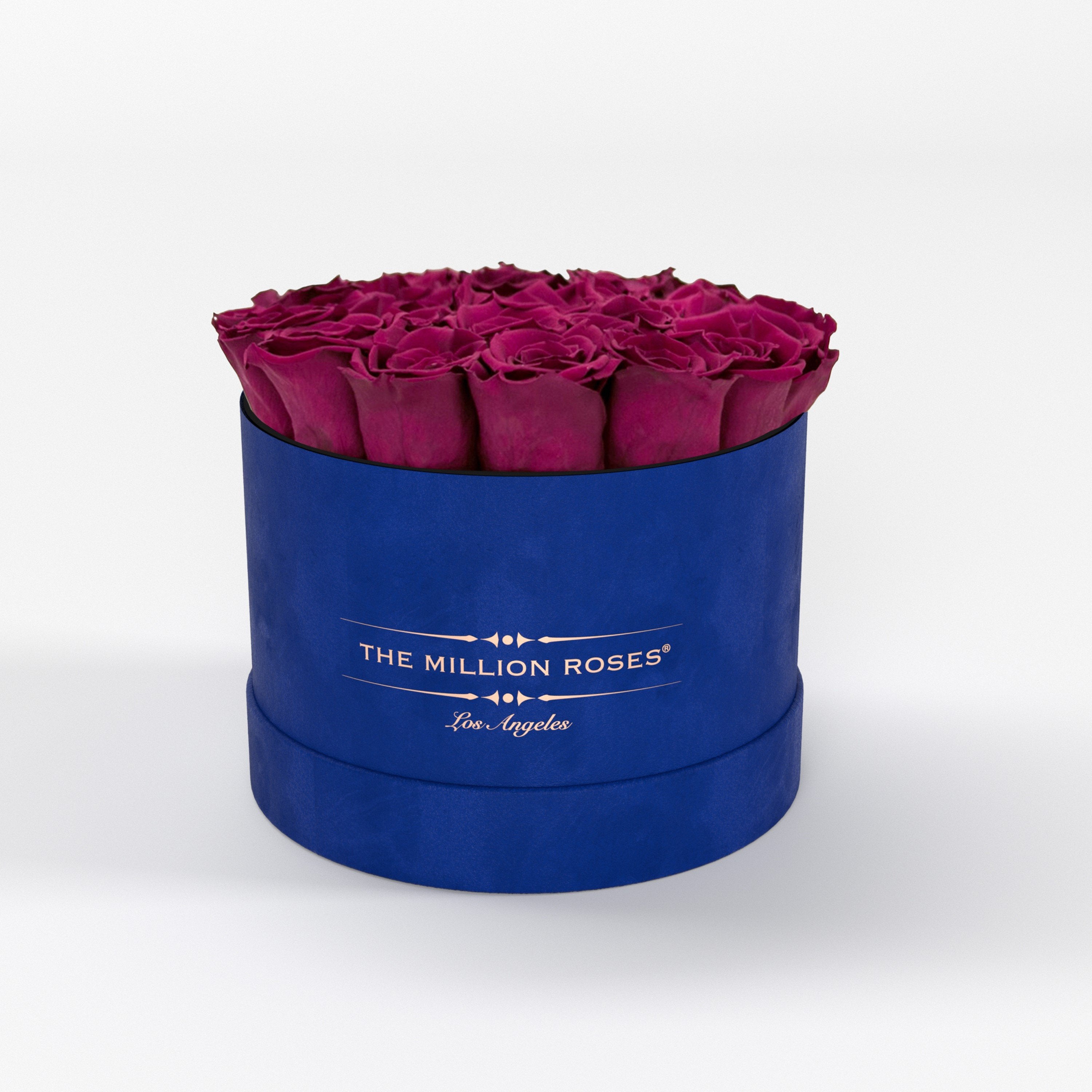 ( LA ) Blue - Suede - Classic Box with Magenta Roses Kit - the million roses