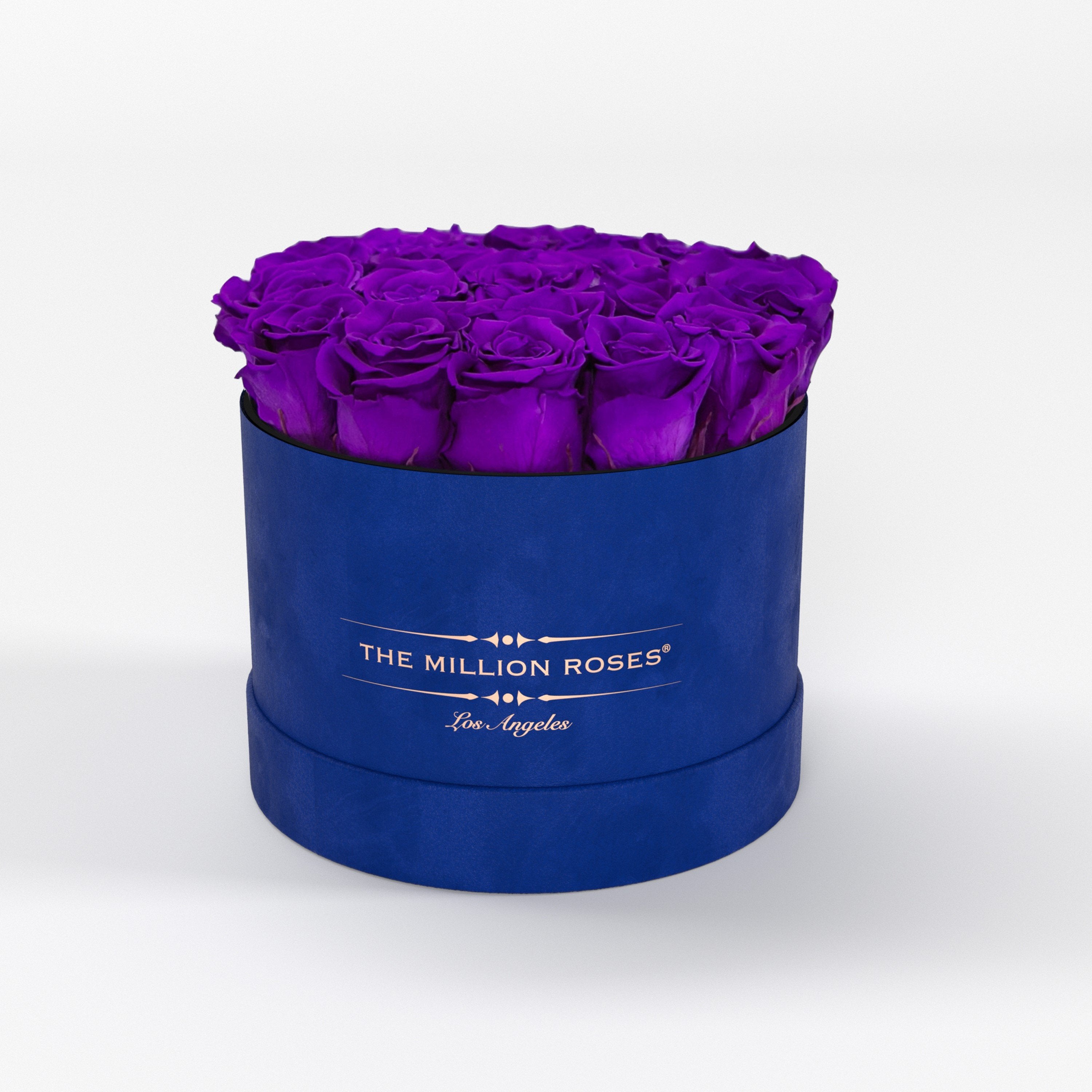 ( LA ) Blue - Suede - Classic Box with Bright Purple Roses Kit - the million roses