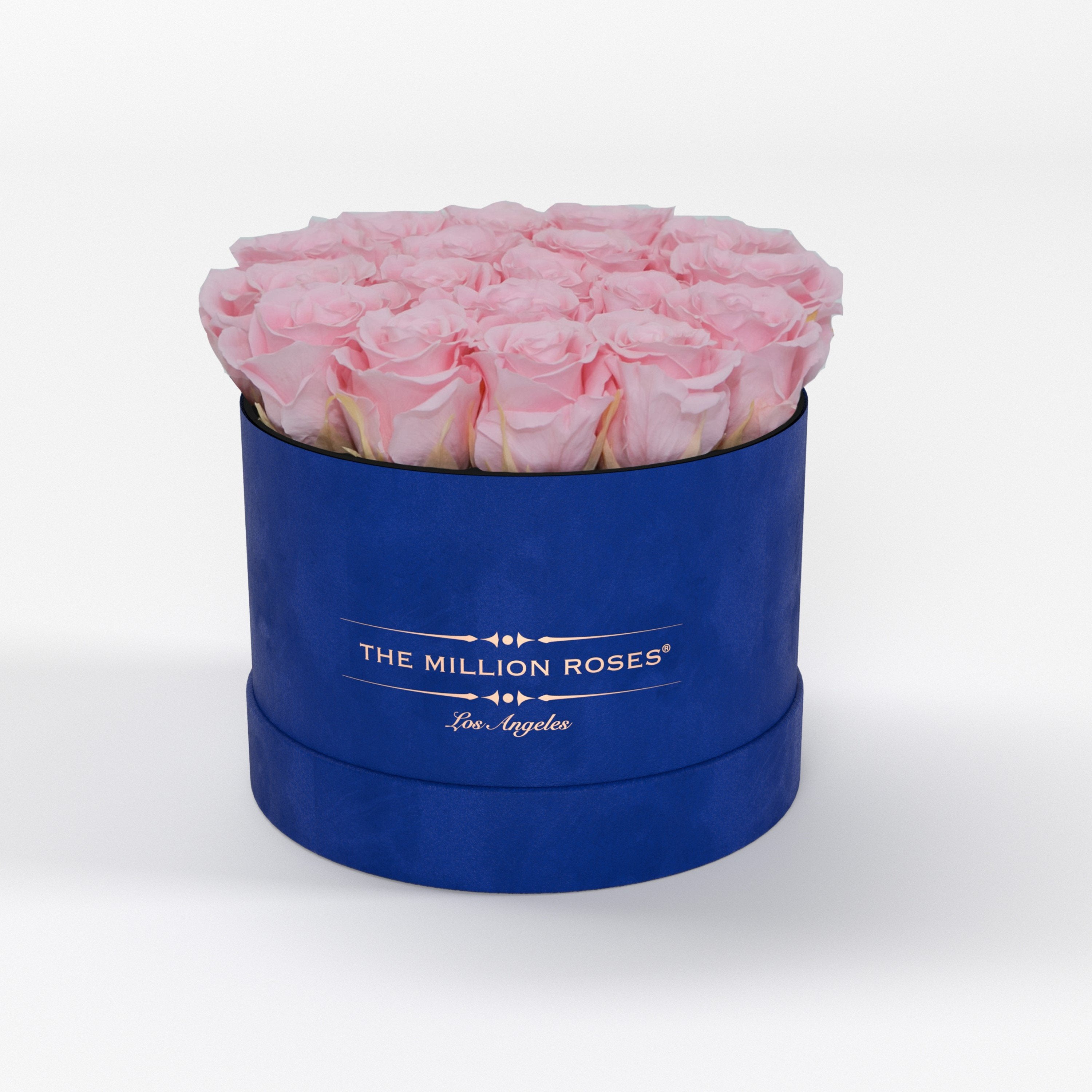 ( LA ) Blue - Suede - Classic Box with Light Pink Roses Kit - the million roses