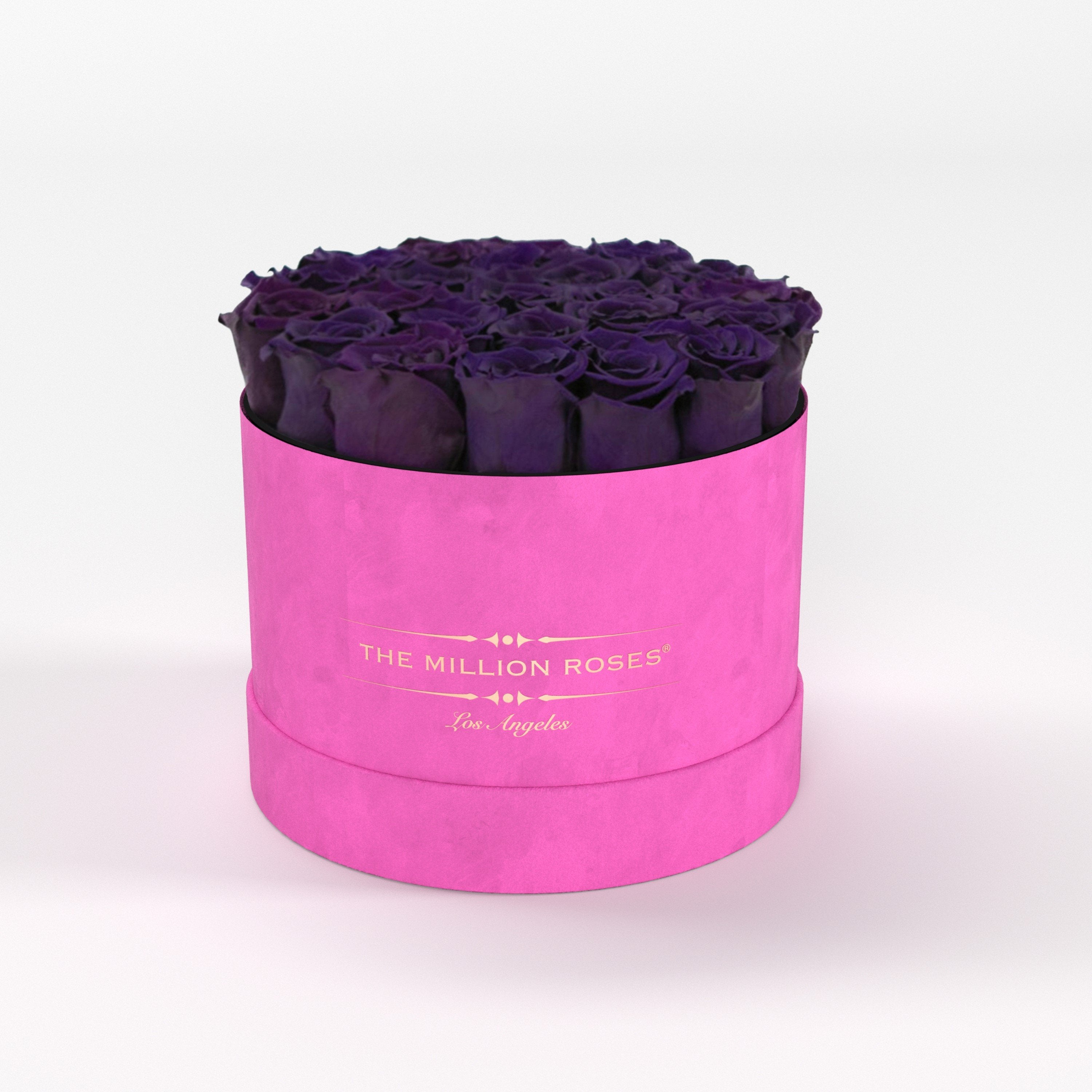 ( LA ) Hot Pink - Suede - Classic Box with Dark Purple Roses Kit - the million roses