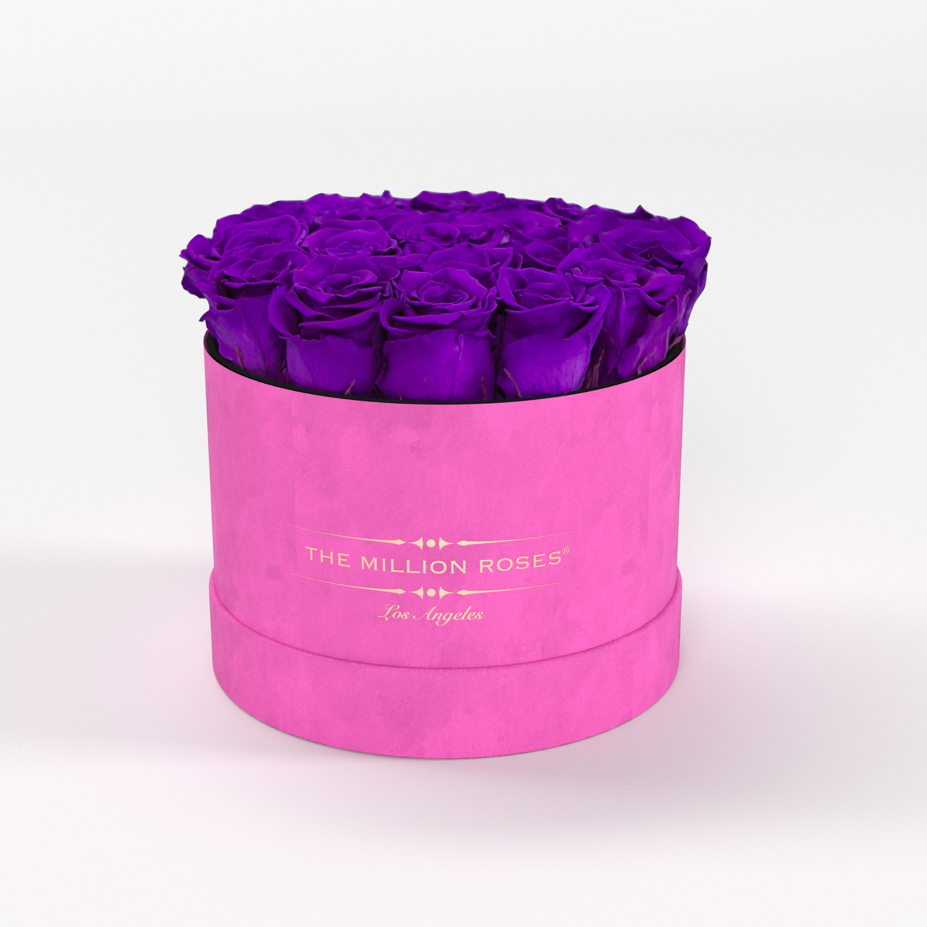 ( LA ) Hot Pink - Suede - Classic Box with Bright Purple Roses Kit - the million roses