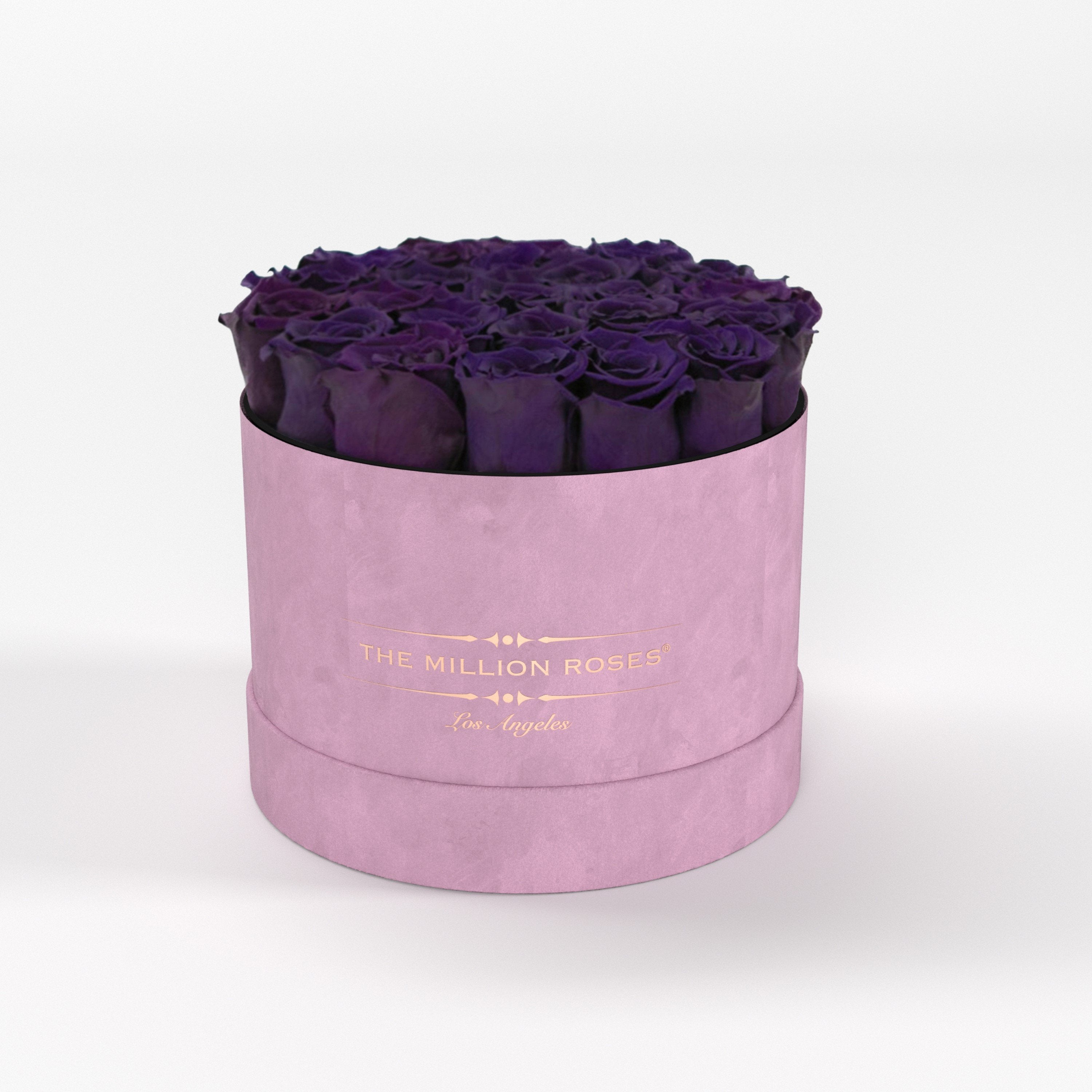 ( LA ) Light Pink - Suede - Classic Box with Dark Purple Roses Kit - the million roses