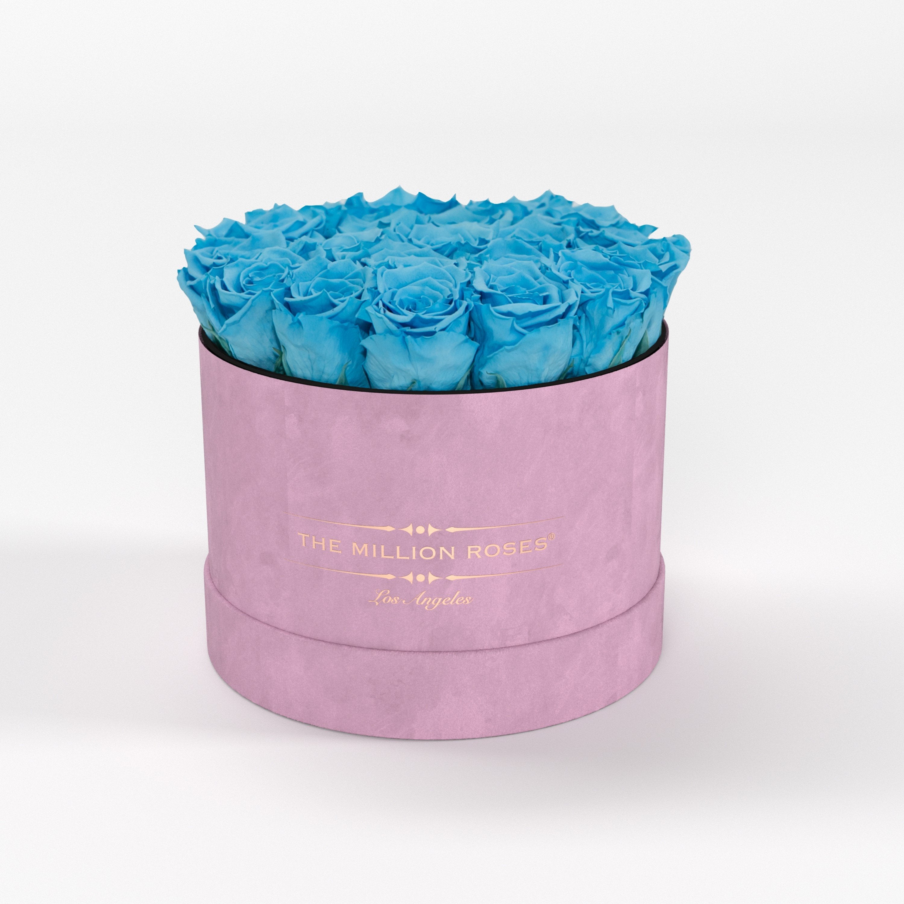 ( LA ) Light Pink - Suede - Classic Box with Light Blue Roses Kit - the million roses