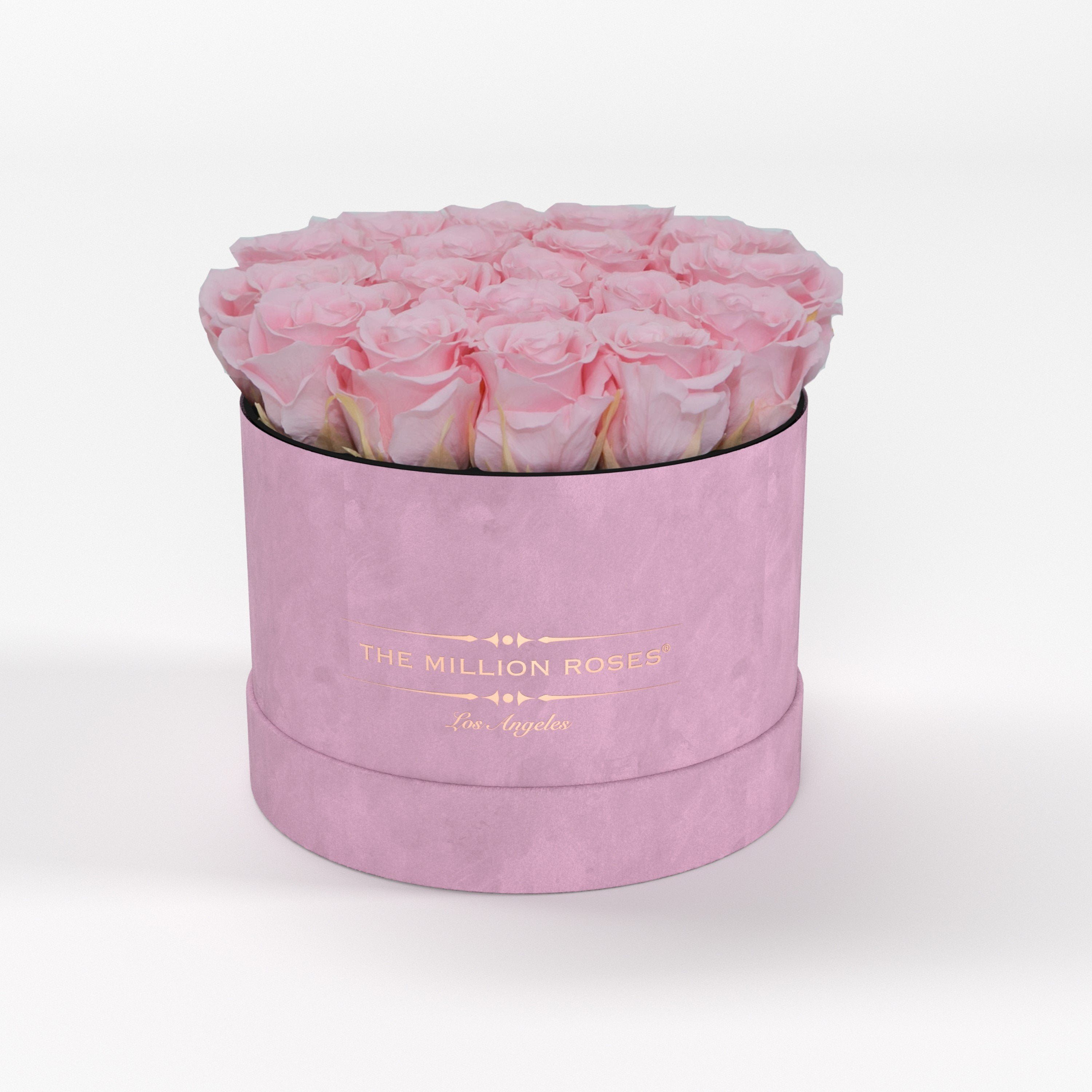 ( LA ) Light Pink - Suede - Classic Box with Light Pink Roses Kit - the million roses