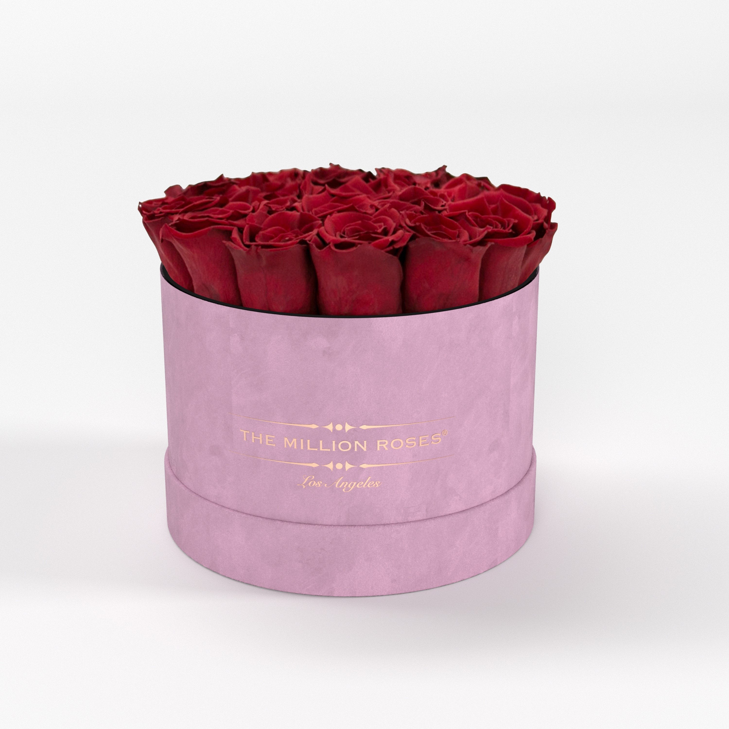 ( LA ) Light Pink - Suede - Classic Box with Red Roses Kit - the million roses