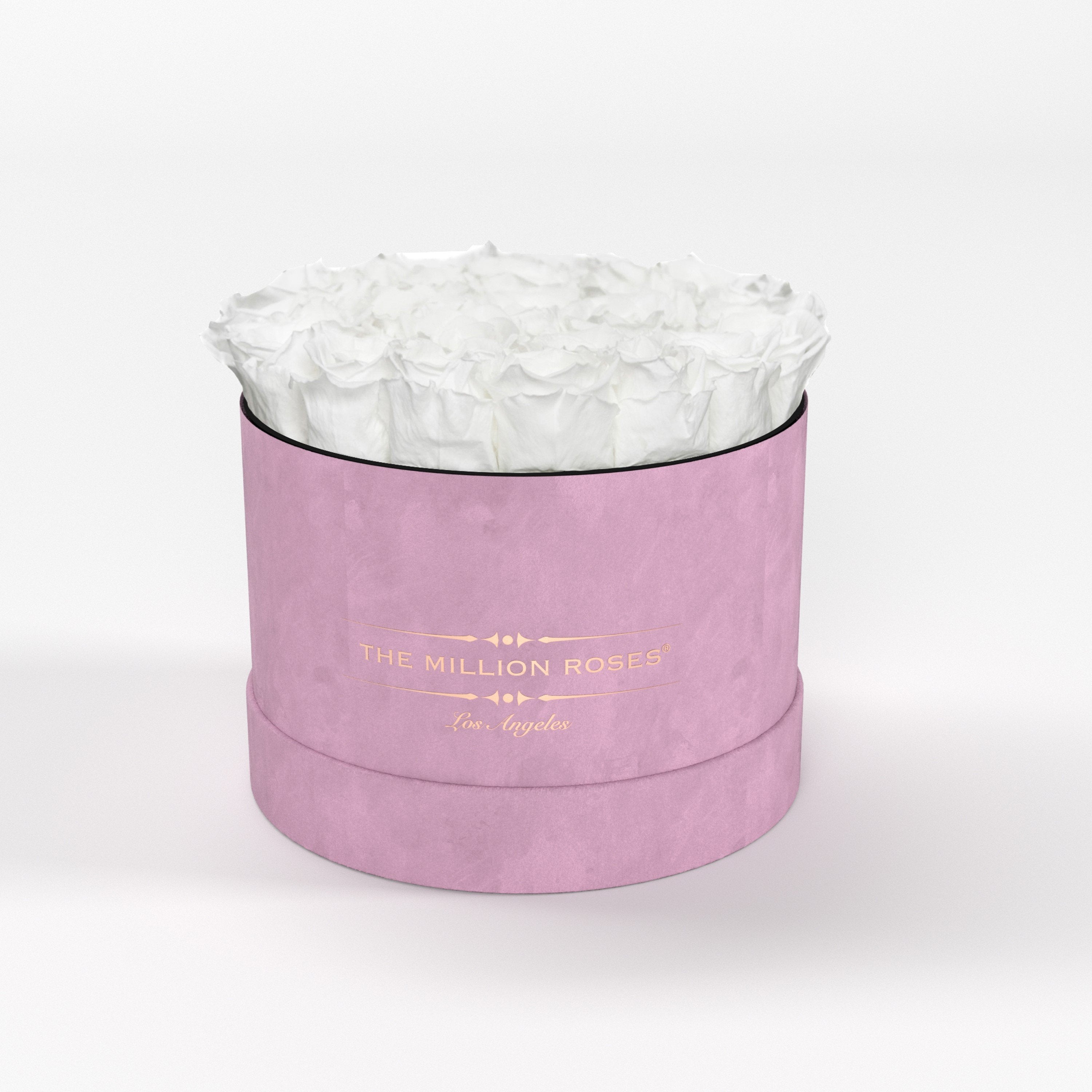 ( LA ) Light Pink - Suede - Classic Box with White Roses Kit - the million roses