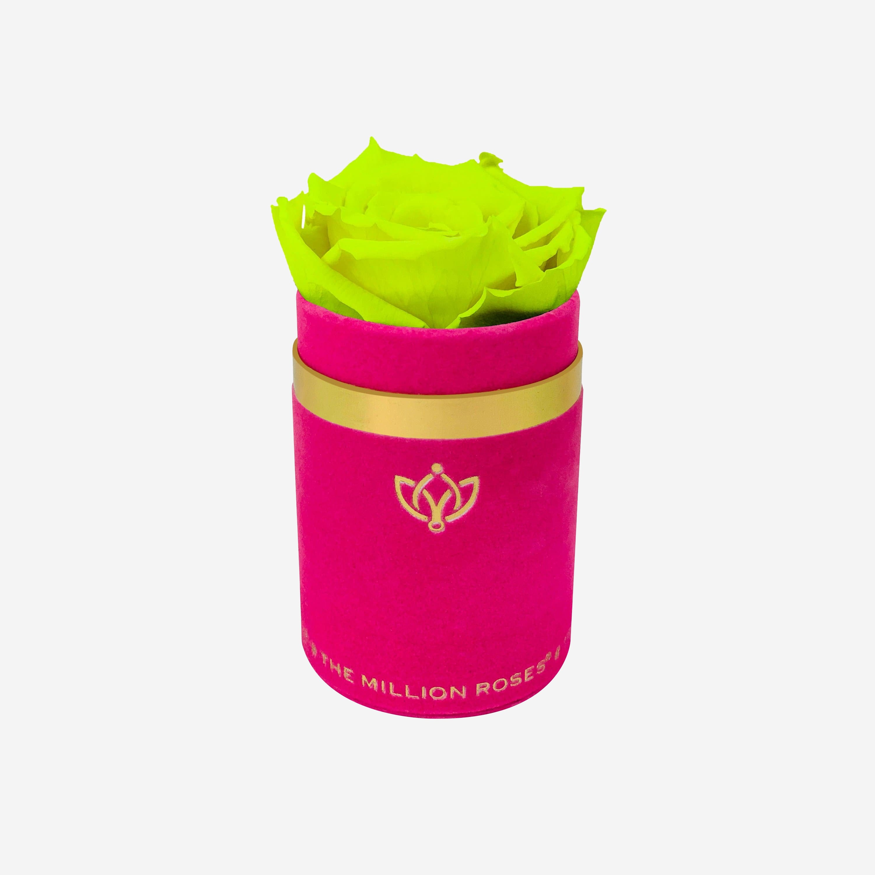 Single Hot Pink Suede Box | All Colors - The Million Roses