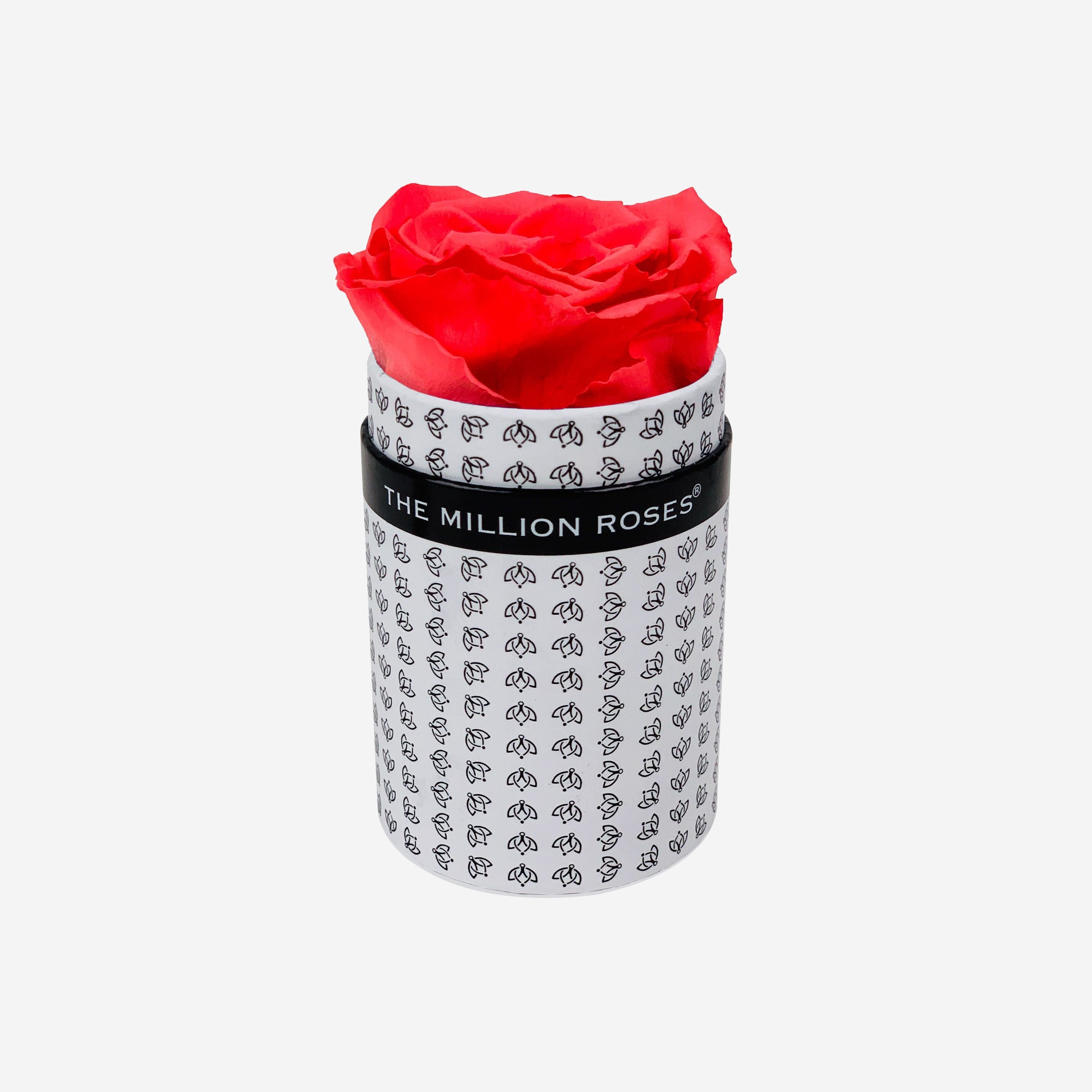 Single White Monogram Box | All Colors - The Million Roses